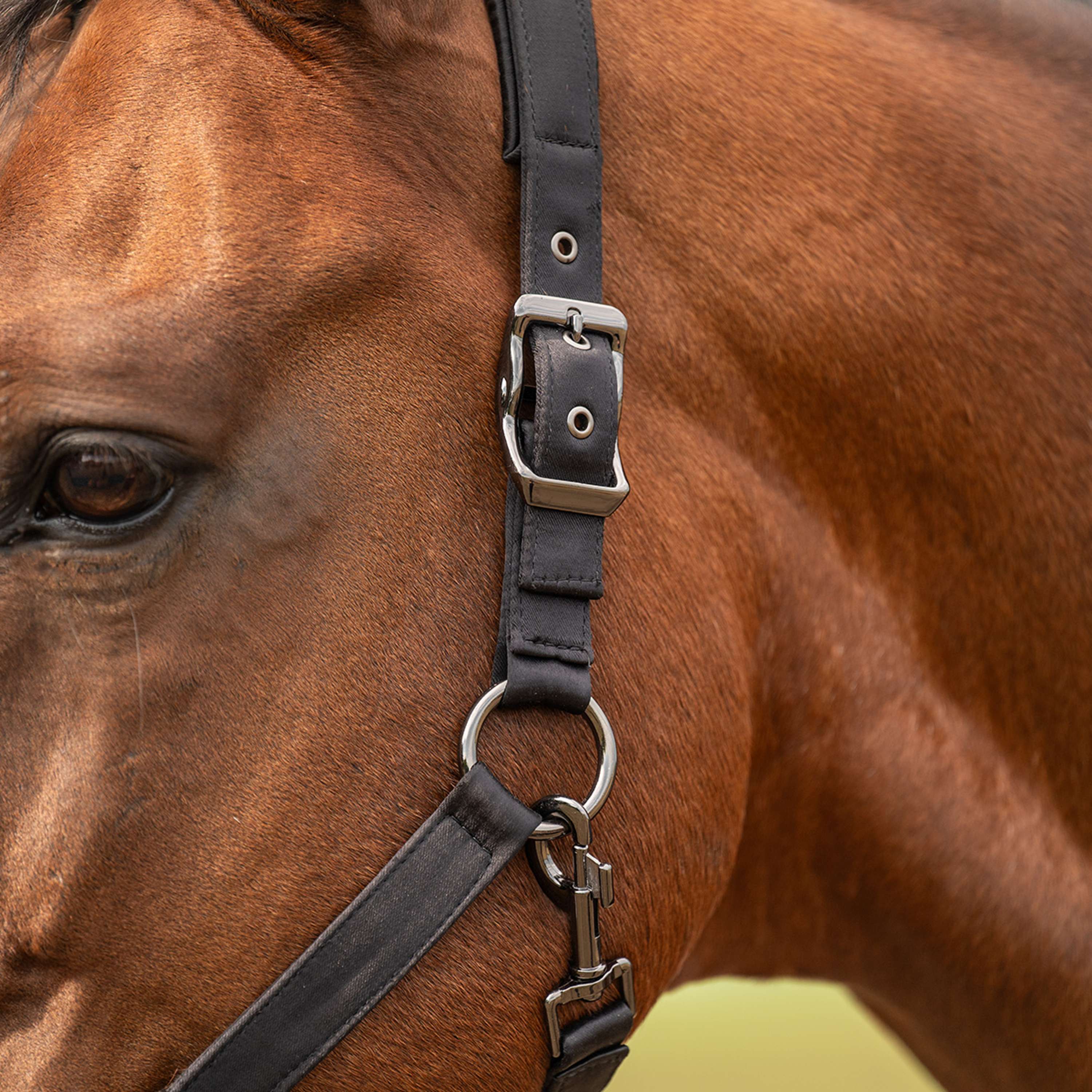 Velder Horsewear Premium Cabezada Satin Glow Negro