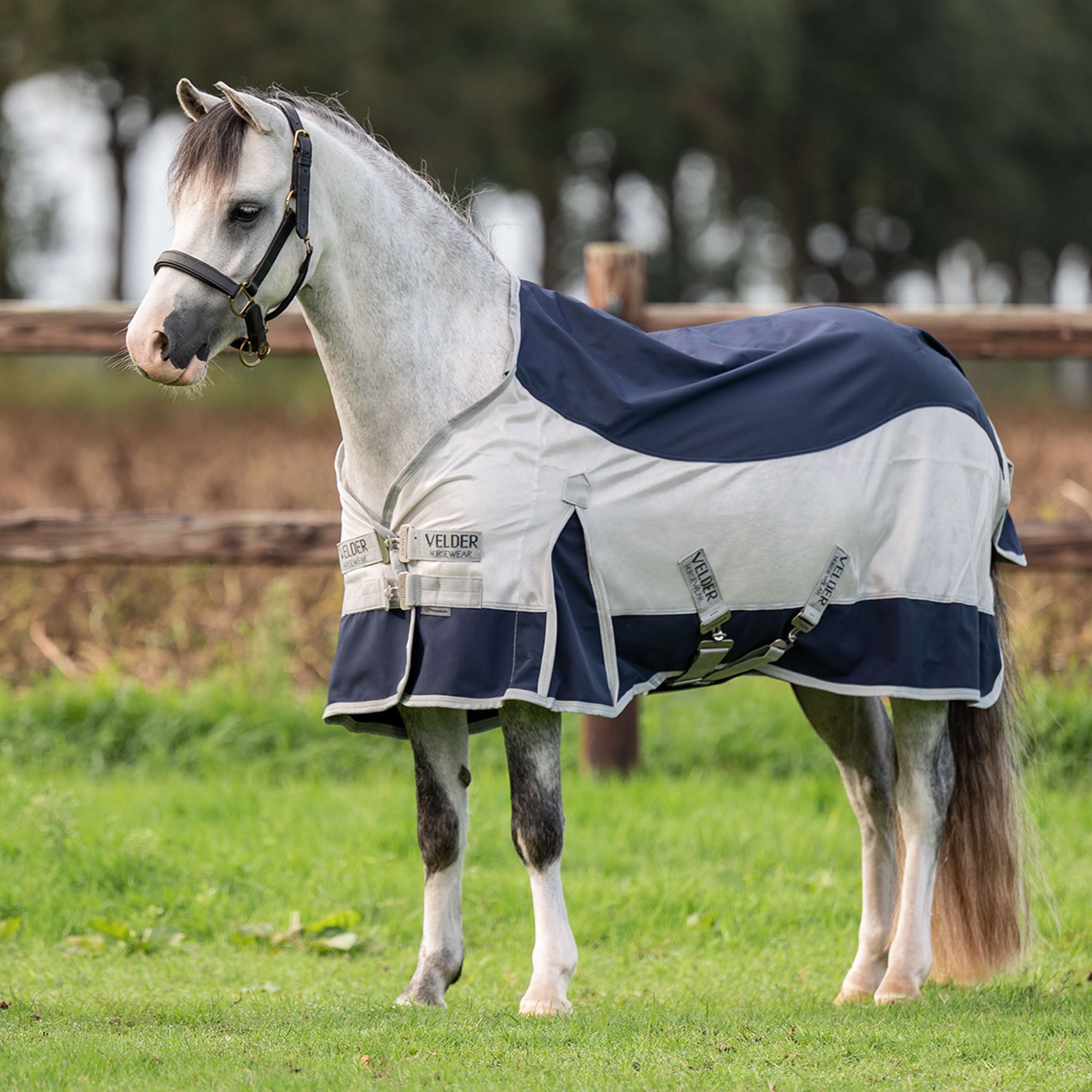 Velder Horsewear Premium Pony Manta Antimoscas Rainless Fall Navy/Pearl Silver