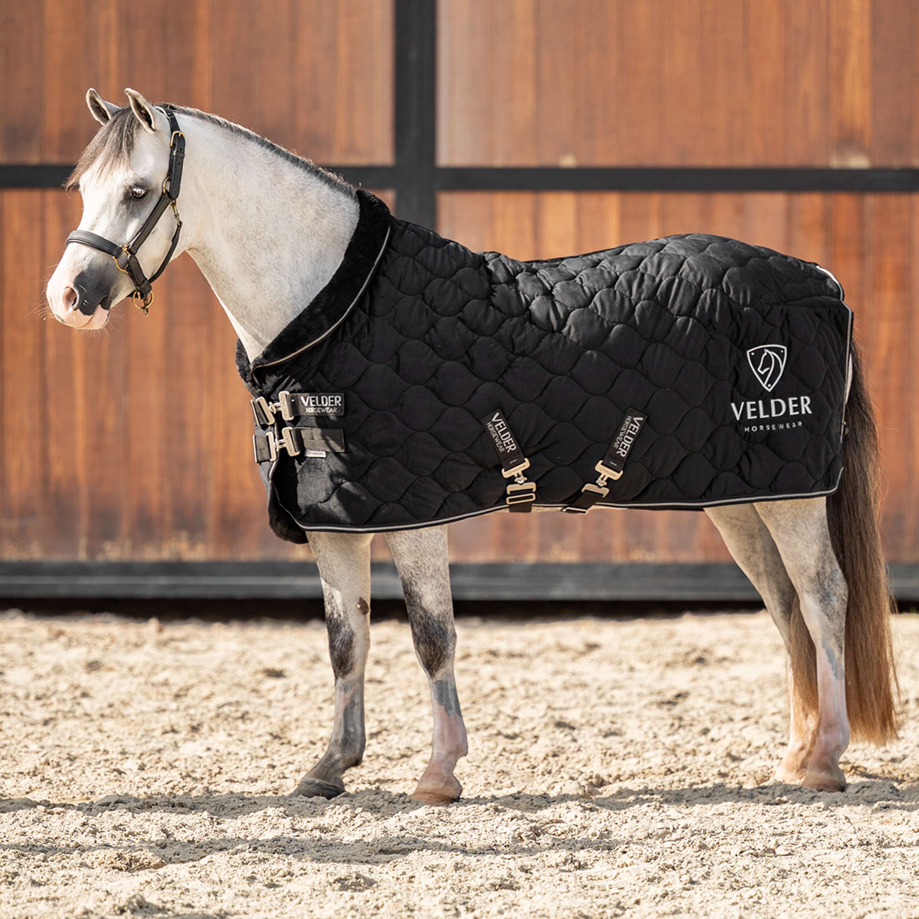 Velder Horsewear Premium Pony Manta de exhibición Satin Glow Black Night