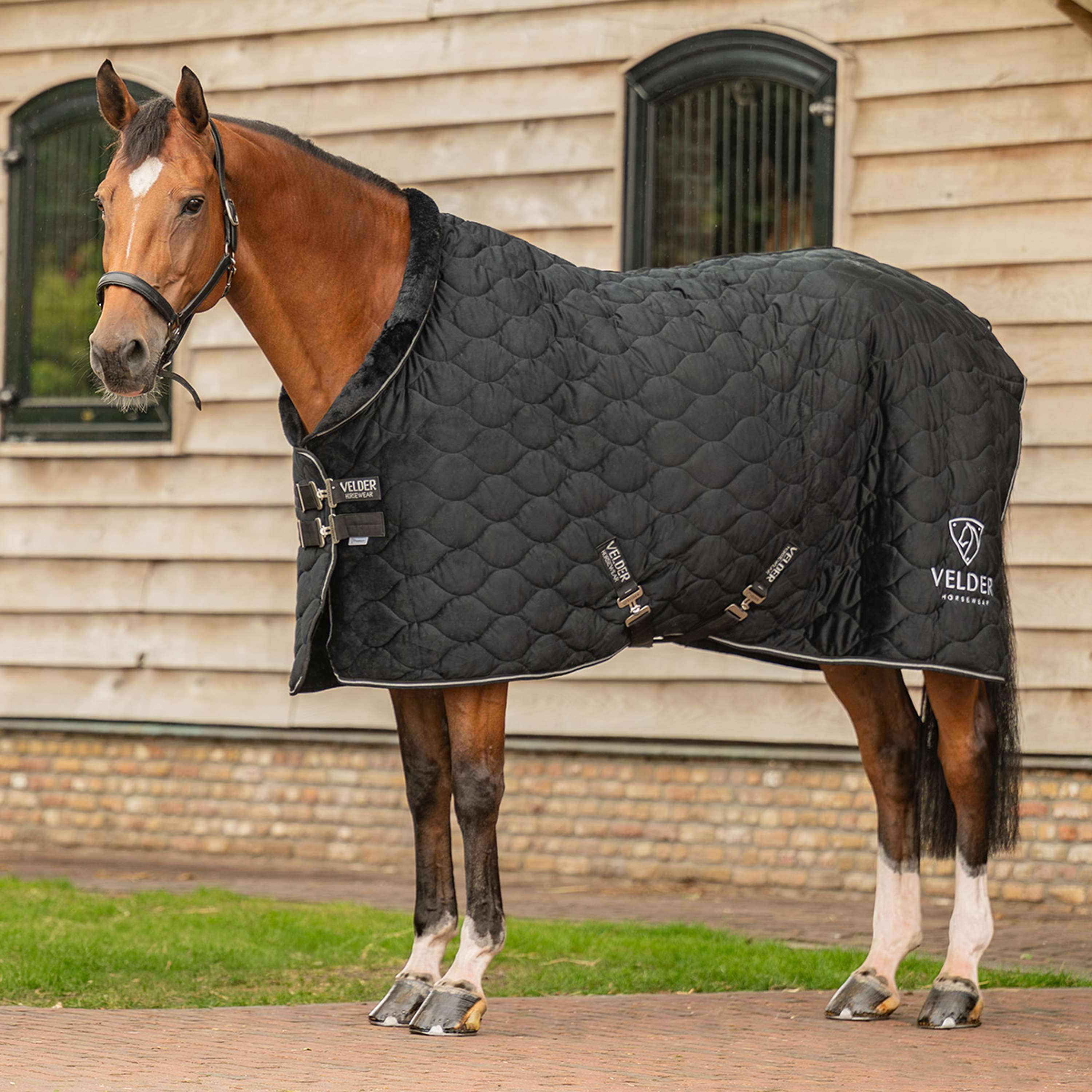 Velder Horsewear Premium Manta de exhibición Satin Glow Black Night