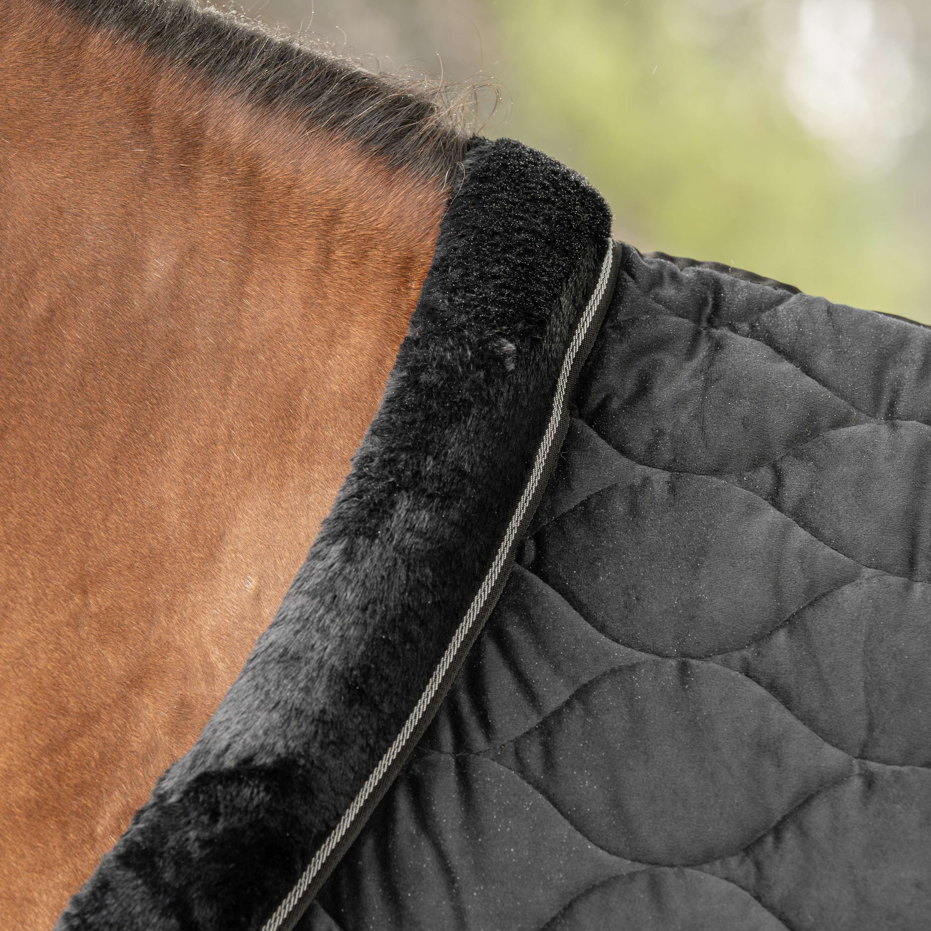 Velder Horsewear Premium Manta de exhibición Satin Glow Black Night