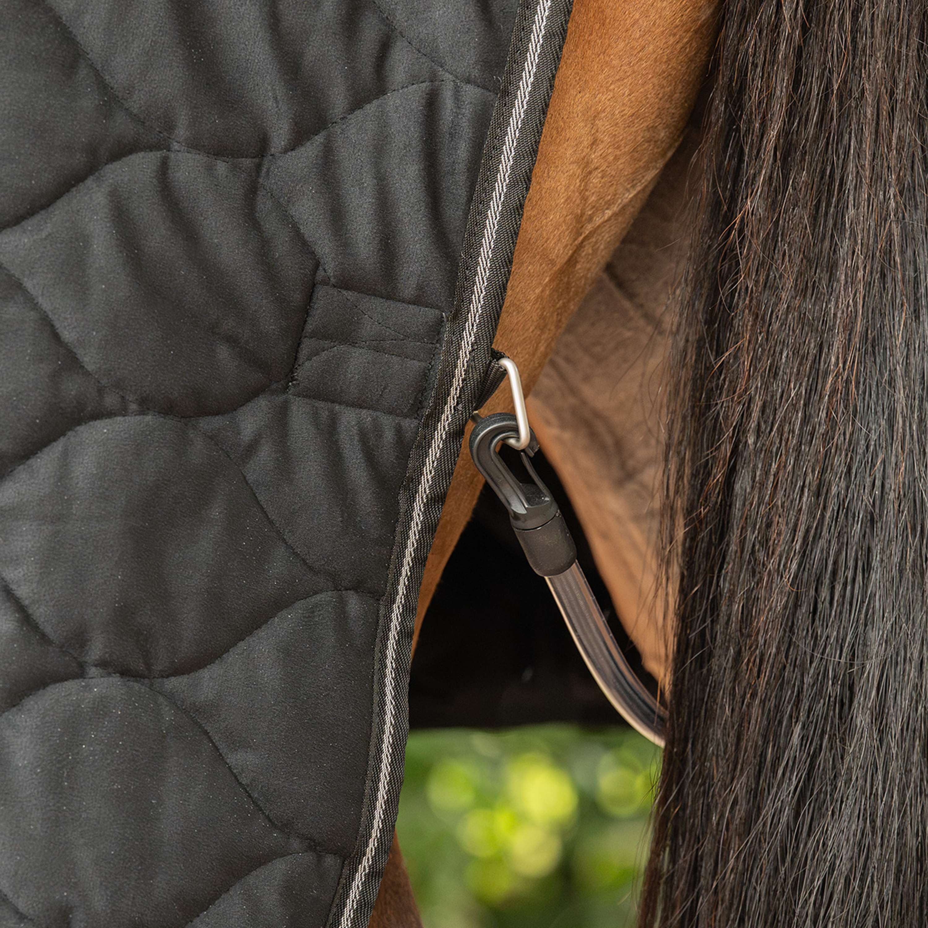 Velder Horsewear Premium Manta de exhibición Satin Glow Black Night