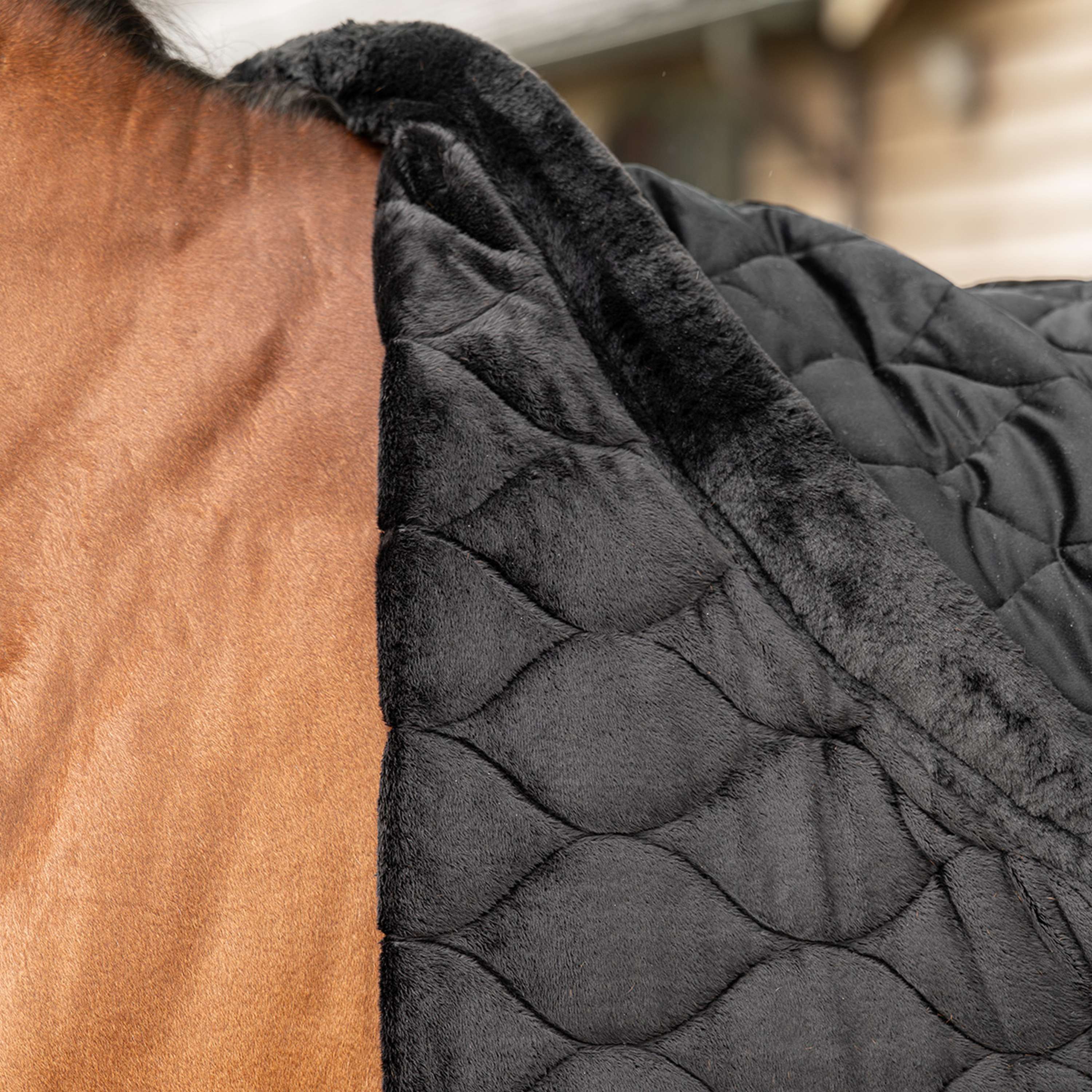 Velder Horsewear Premium Manta de exhibición Satin Glow Black Night