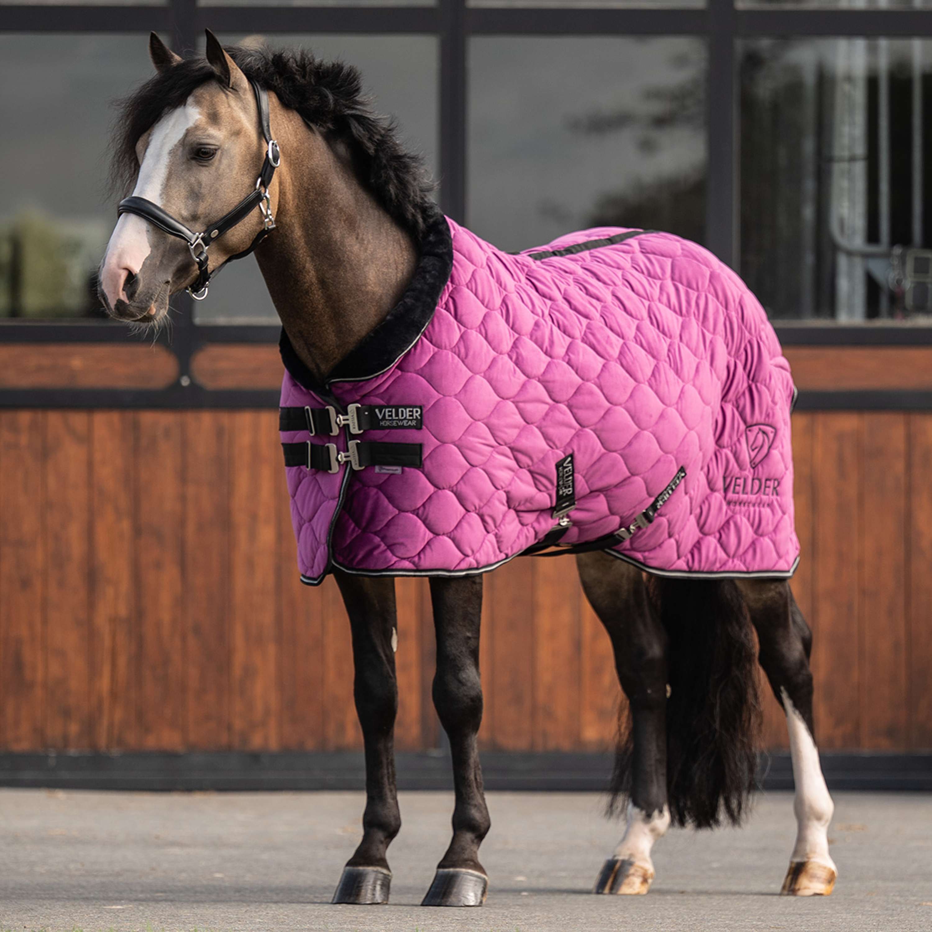 Velder Horsewear Premium Pony Manta de exhibición Satin Glow Dutch Raspberry