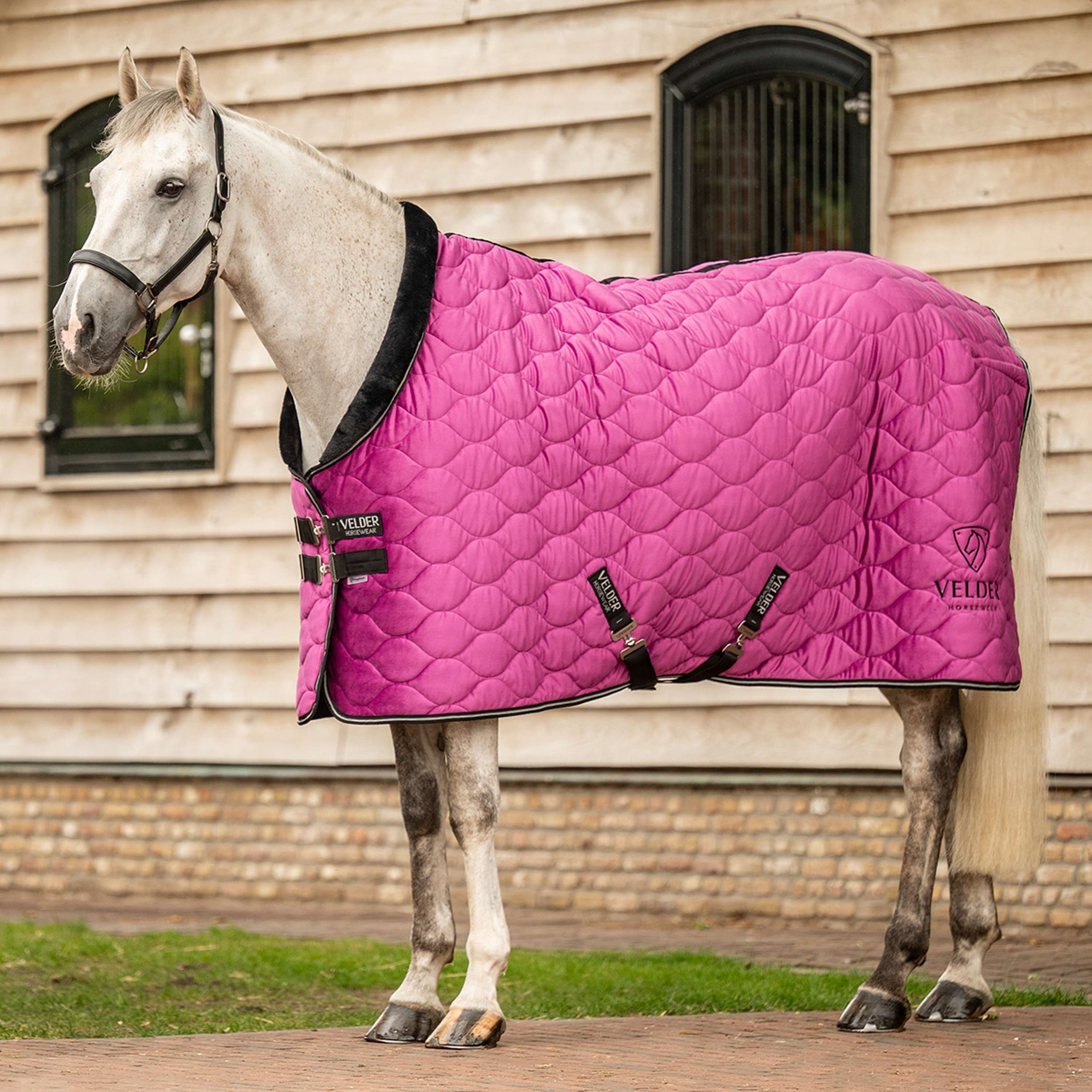 Velder Horsewear Premium Manta de exhibición Satin Glow Dutch Raspberry