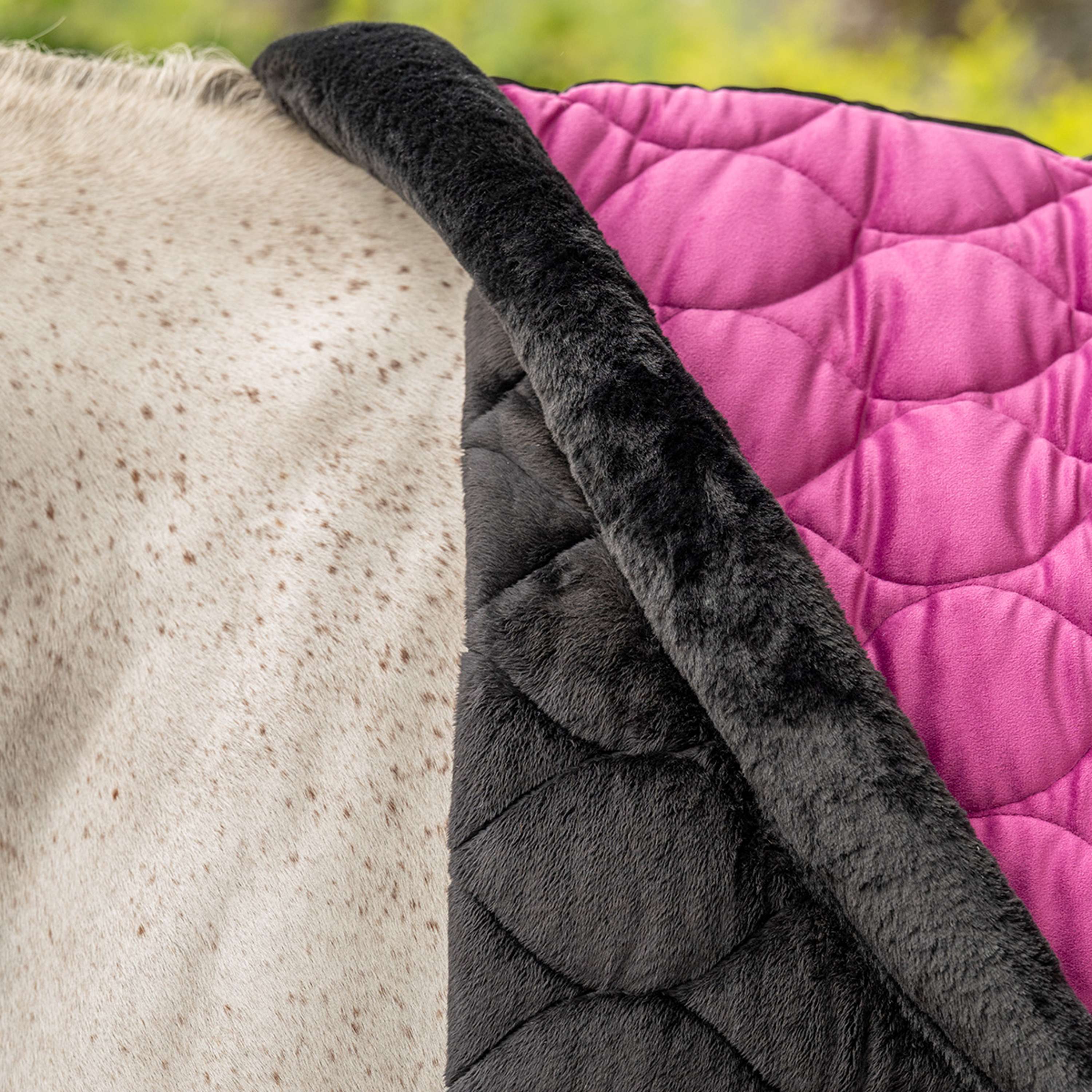 Velder Horsewear Premium Manta de exhibición Satin Glow Dutch Raspberry