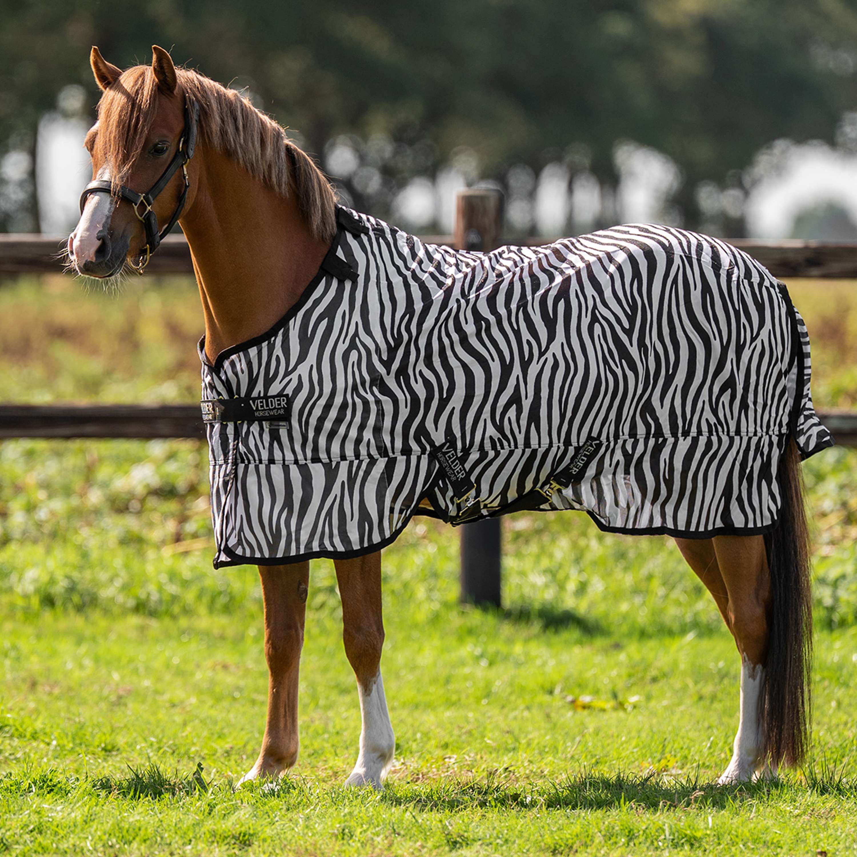 Velder Horsewear Essentials Pony Manta Antimoscas con Cuello Zebra Negro/Blanco