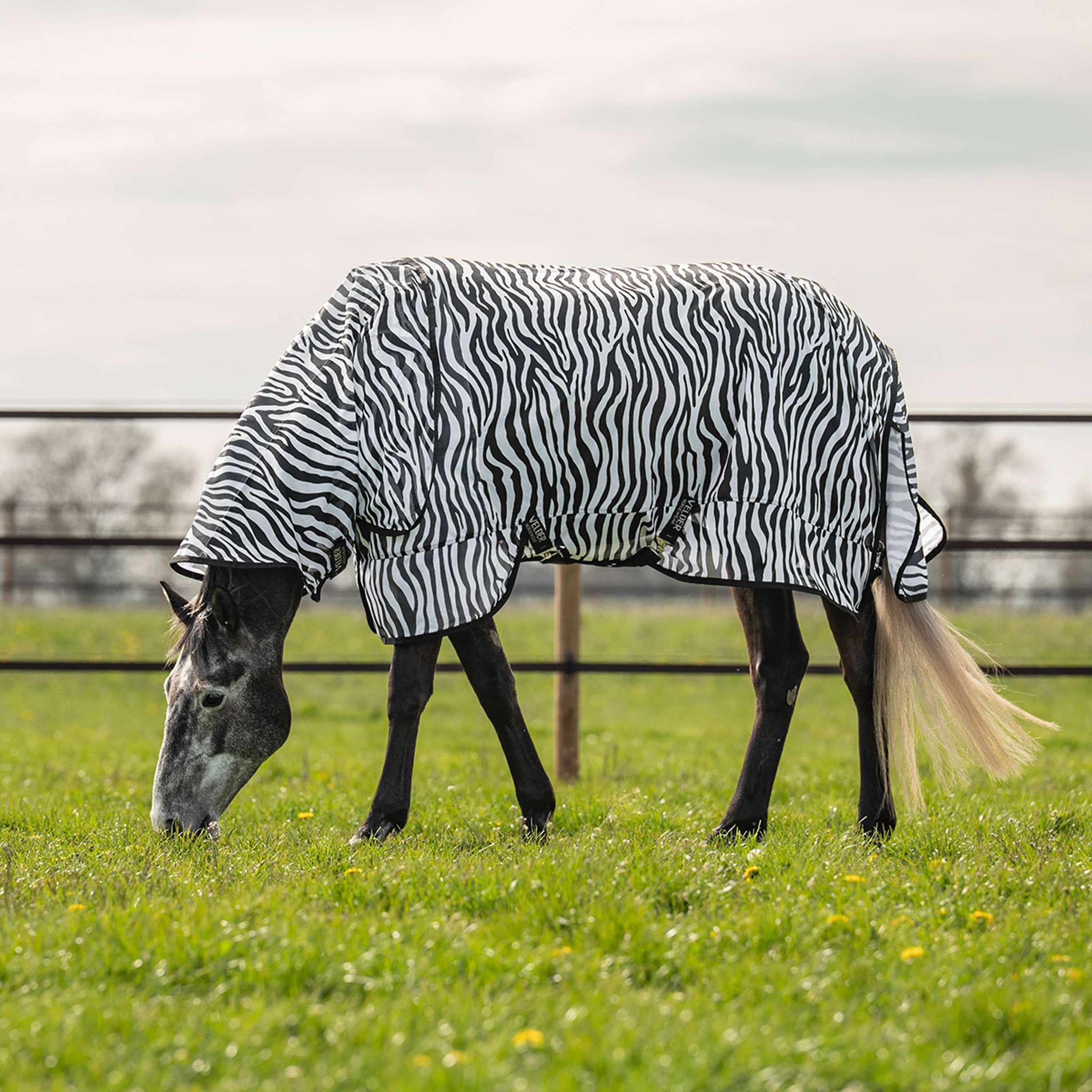 Velder Horsewear Manta Antimoscas con Cuello Zebra Negro/Blanco Velder Horsewear Manta Antimoscas con Cuello Zebra Negro/Blanco