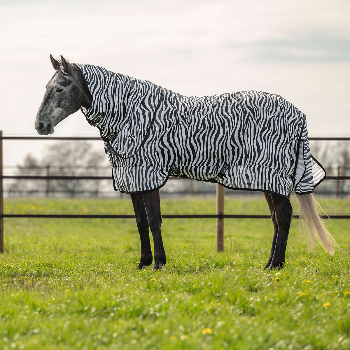 Velder Horsewear Manta Antimoscas con Cuello Zebra Negro/Blanco