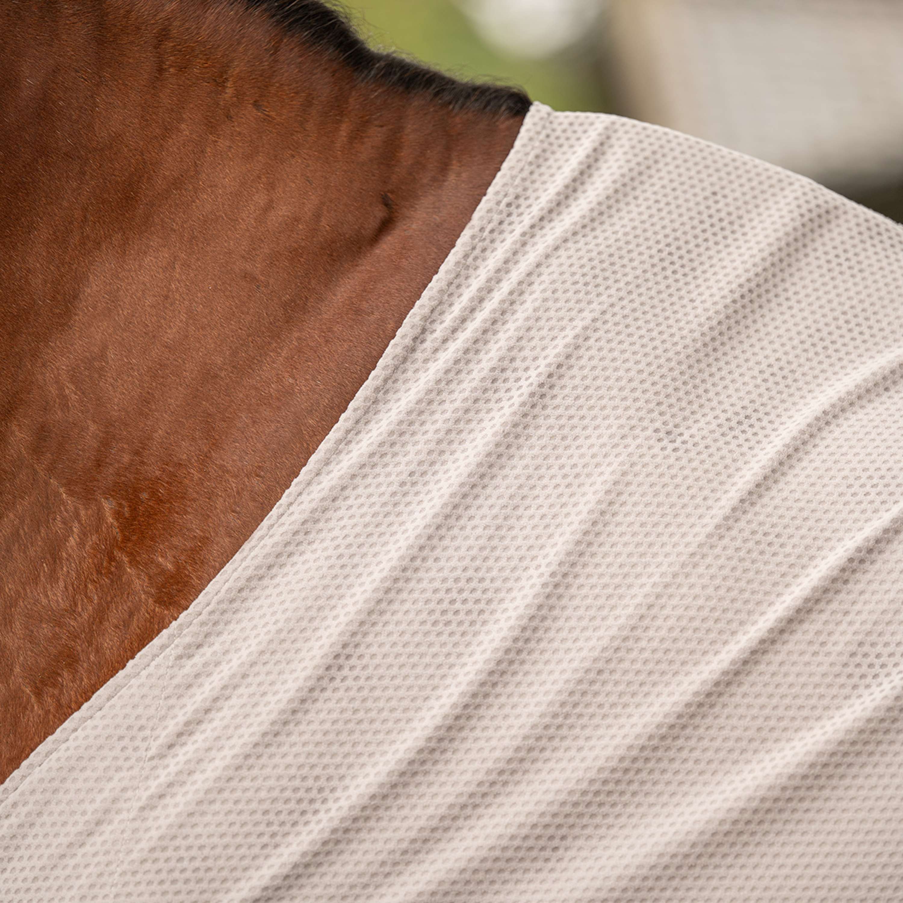 Velder Horsewear Premium Pony Cool Down Rug Summer Rosé