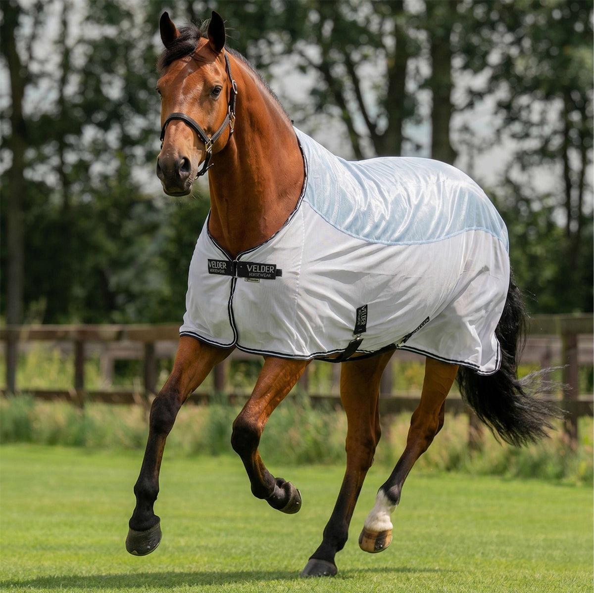 Velder Horsewear Essentials Manta Antimoscas Blush Blue