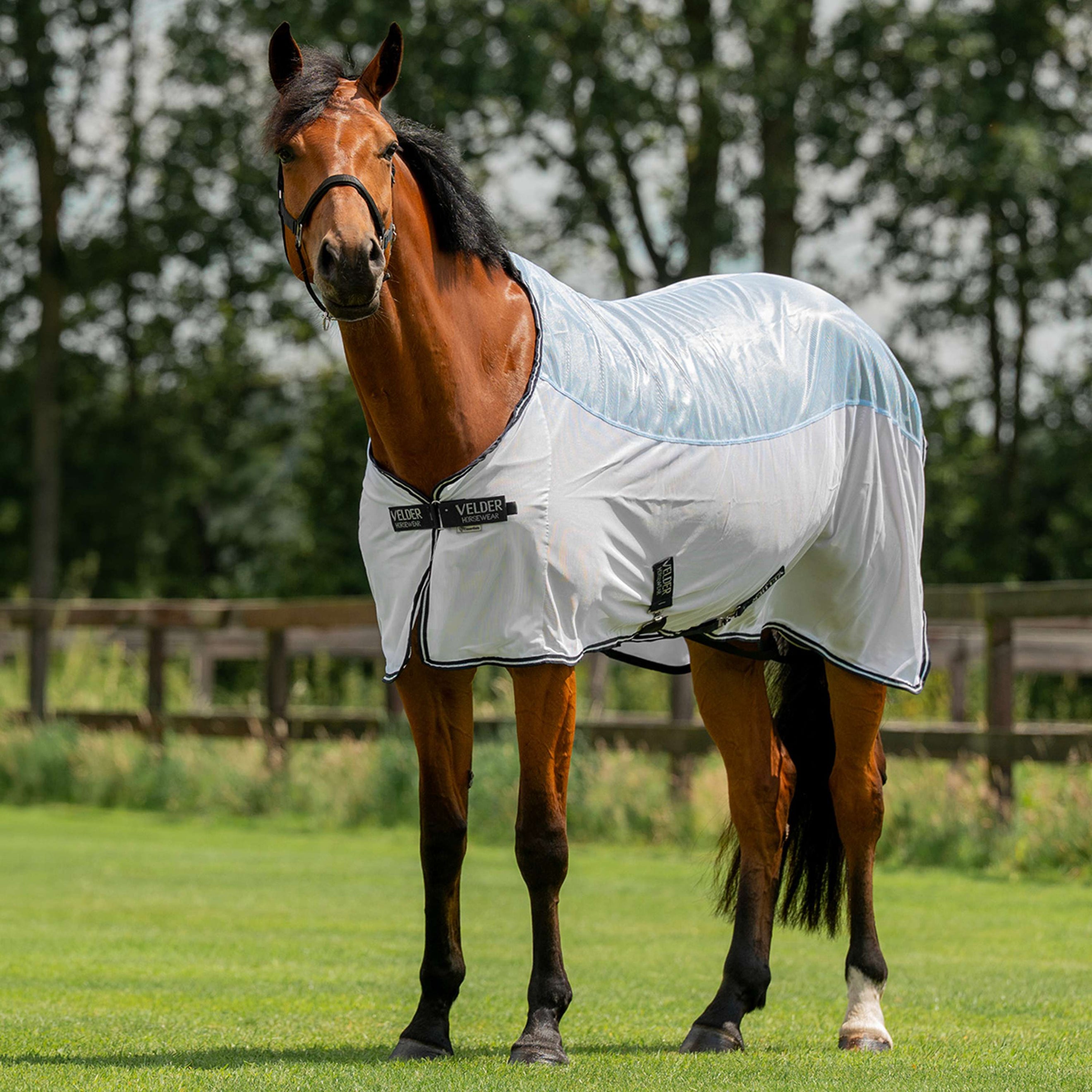 Velder Horsewear Essentials Manta Antimoscas Blush Blue Velder Horsewear Essentials Manta Antimoscas Blush Blue