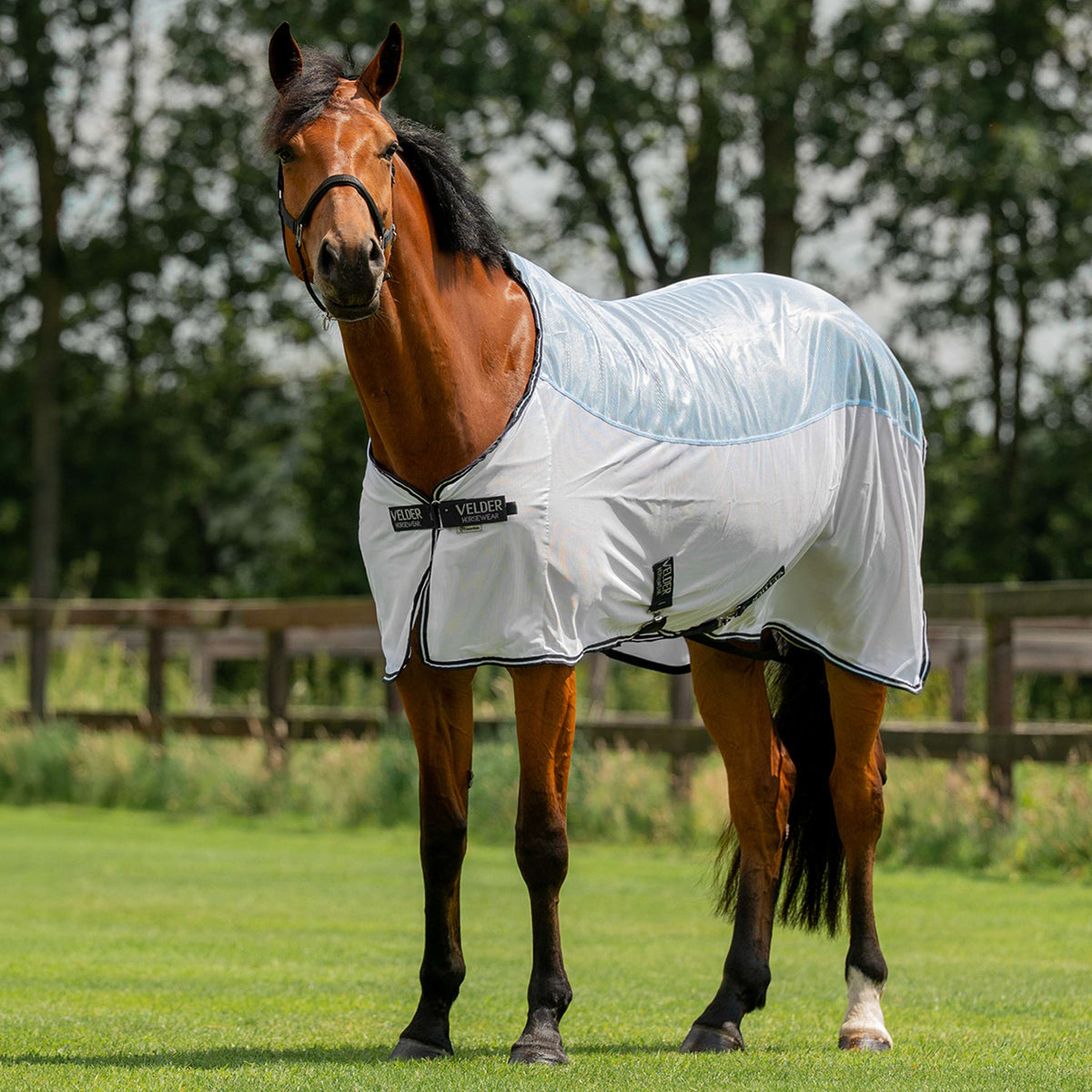 Velder Horsewear Essentials Manta Antimoscas Blush Blue