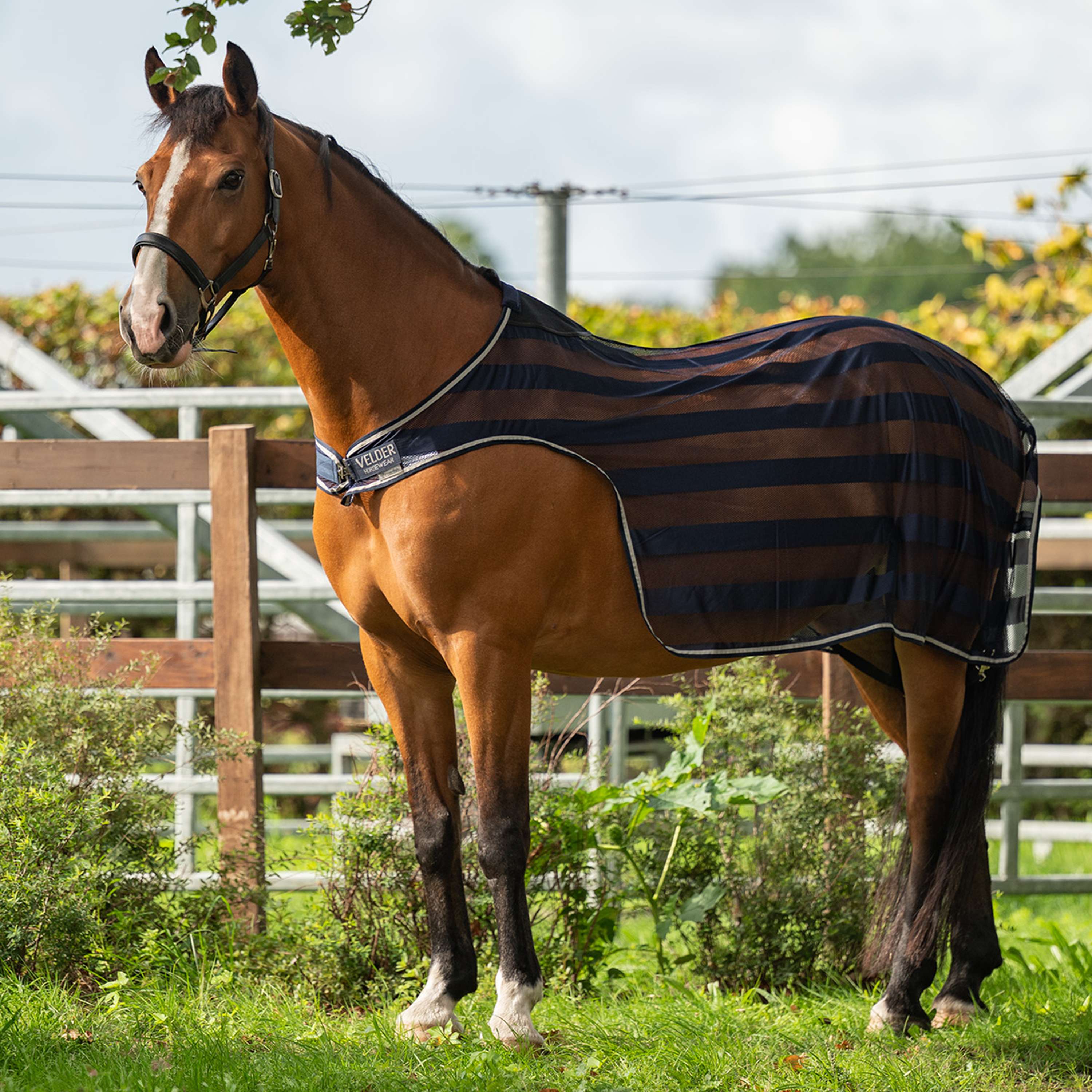 Velder Horsewear Essentials Manta de molino Navy