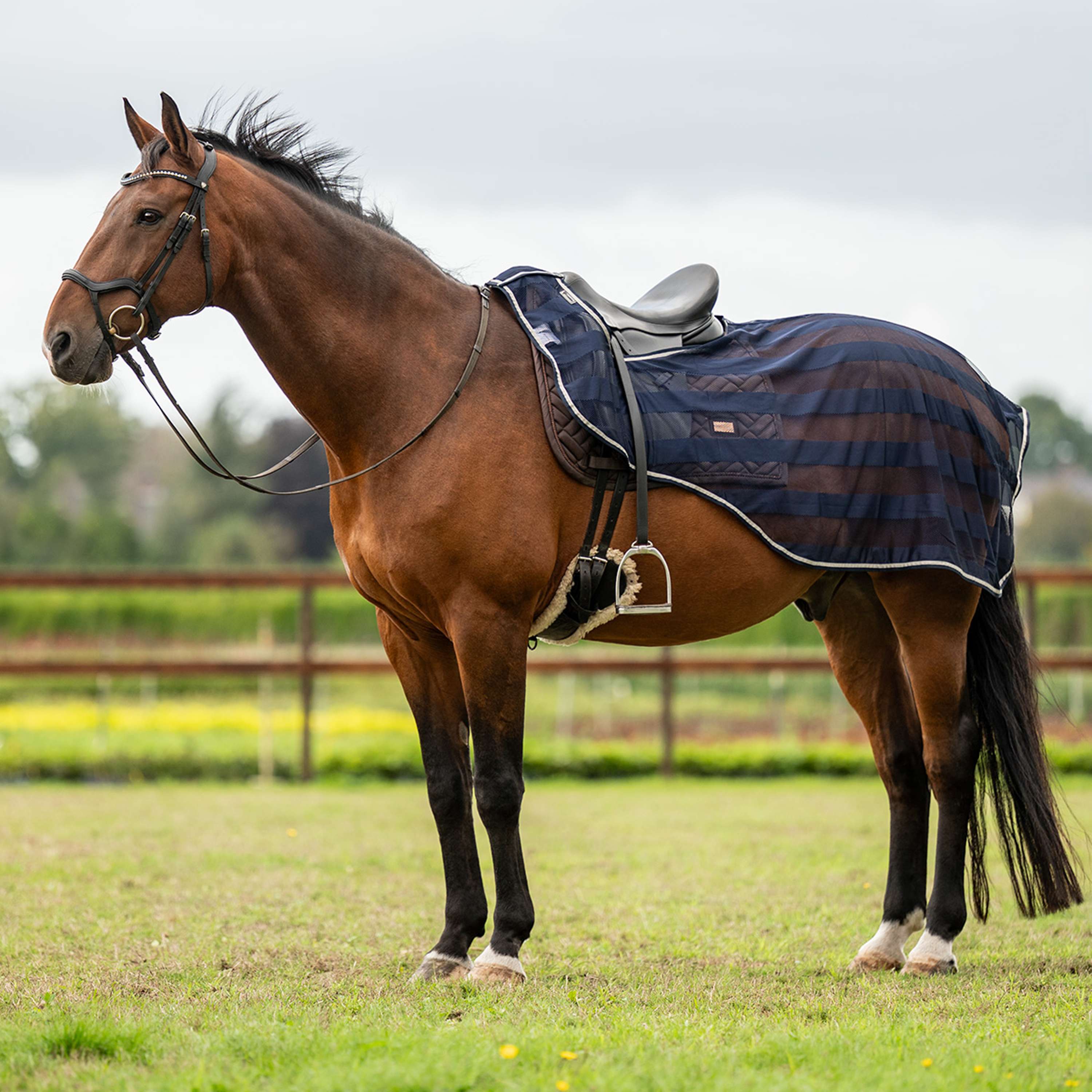 Velder Horsewear Essentials Manta de ejercicio Navy