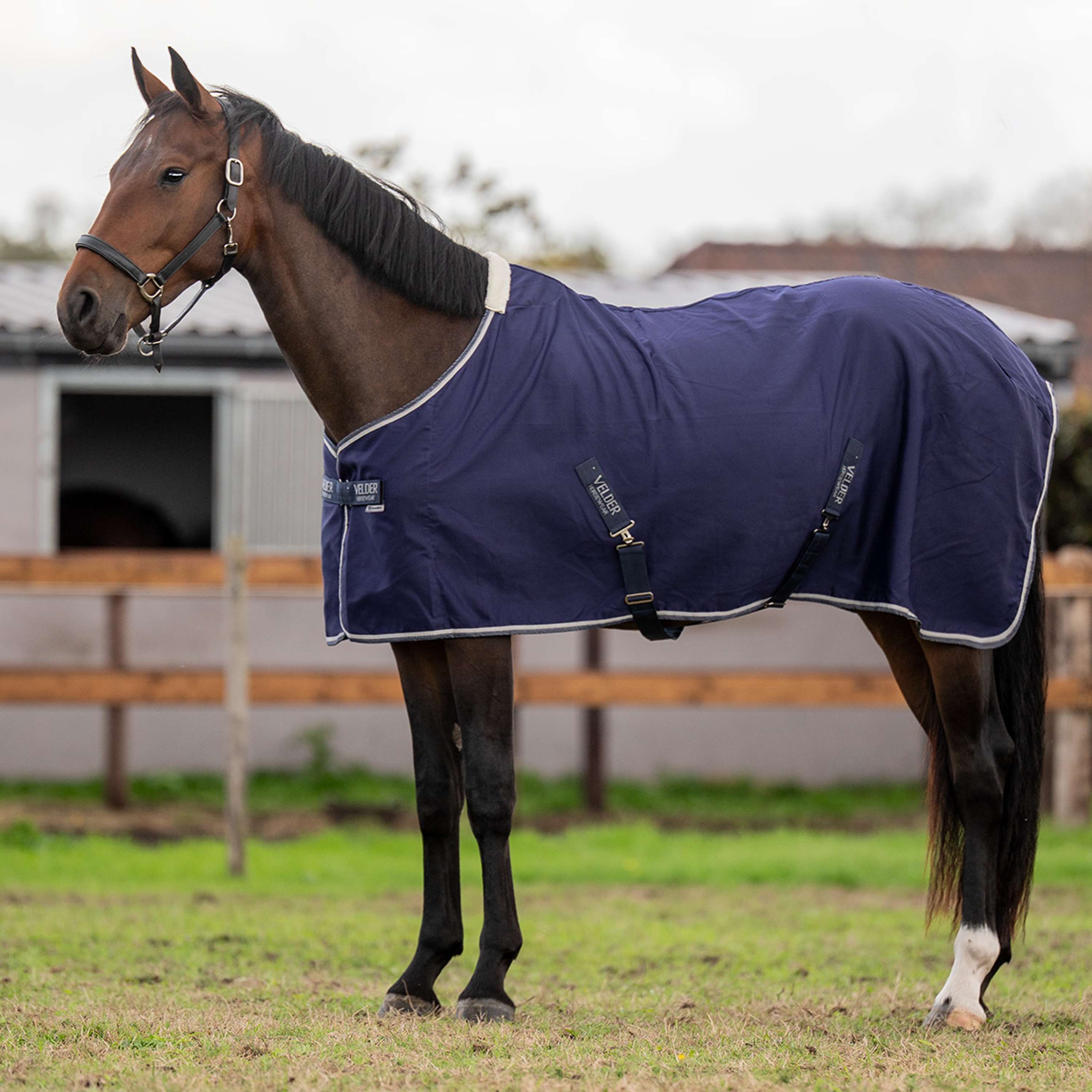 Velder Horsewear Essentials Manta de Verano Navy