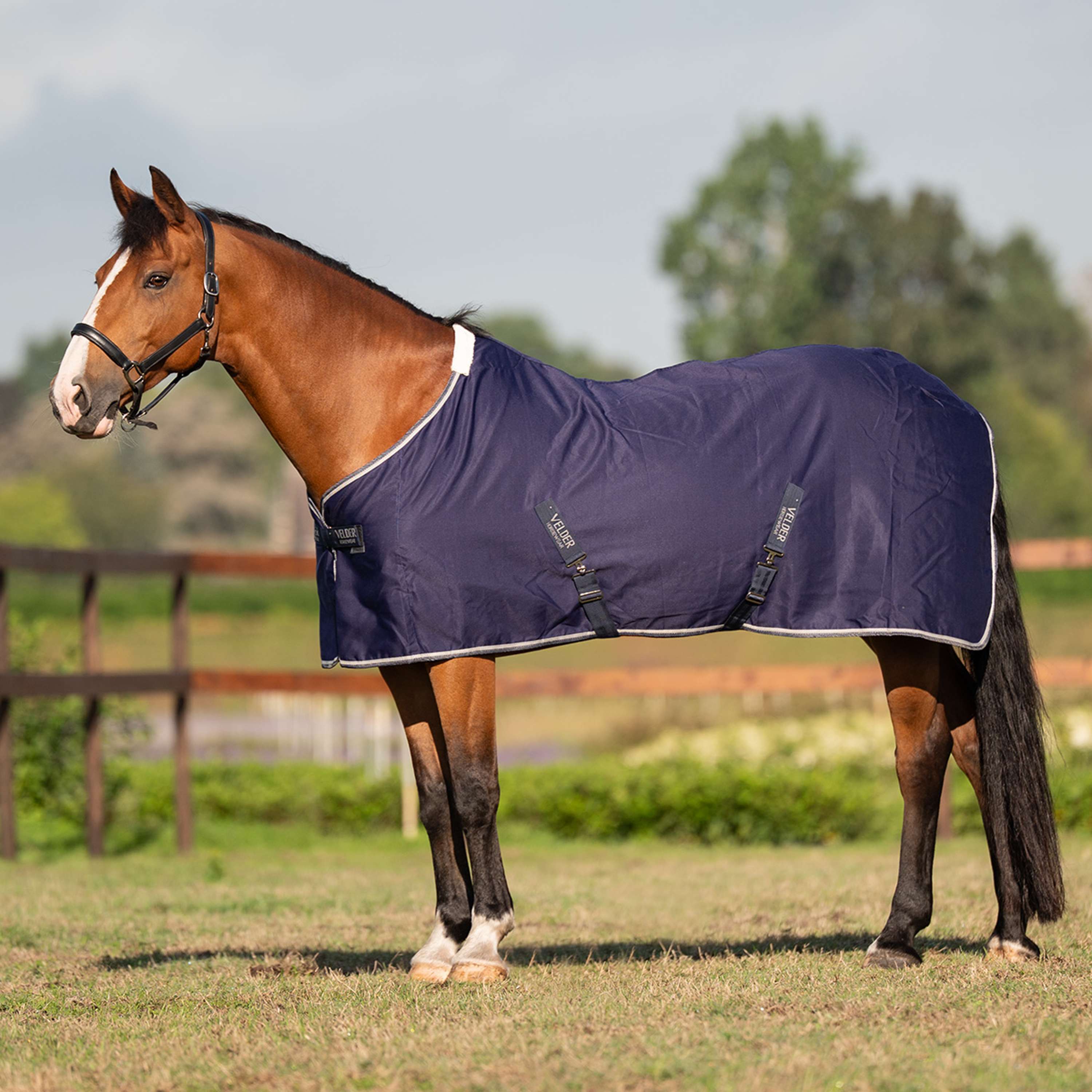 Velder Horsewear Essentials Manta de Verano Navy