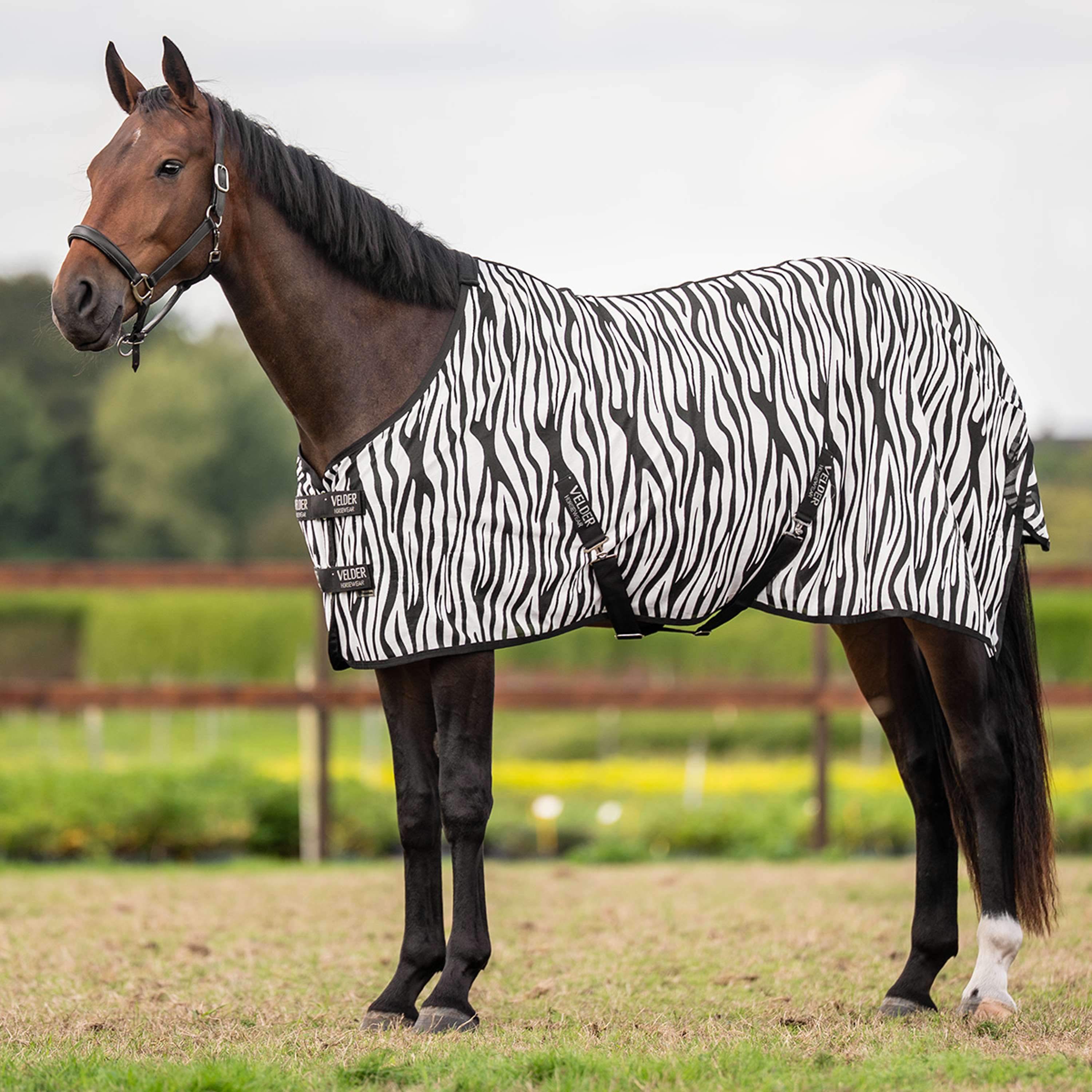 Velder Horsewear Essentials Manta Antimoscas Zebra Negro/Blanco