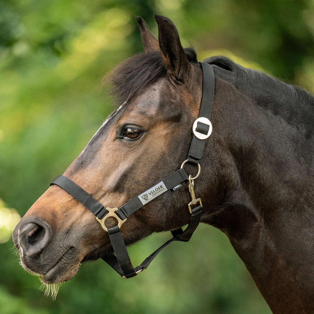 Velder Horsewear Essentials Cabezada Basic Negro