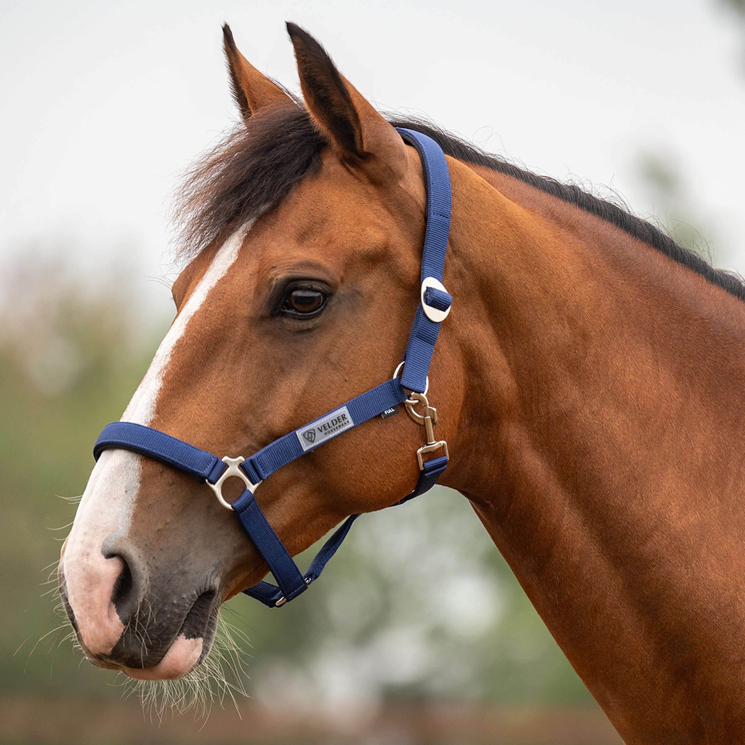 Velder Horsewear Essentials Cabezada Basic Padded Navy