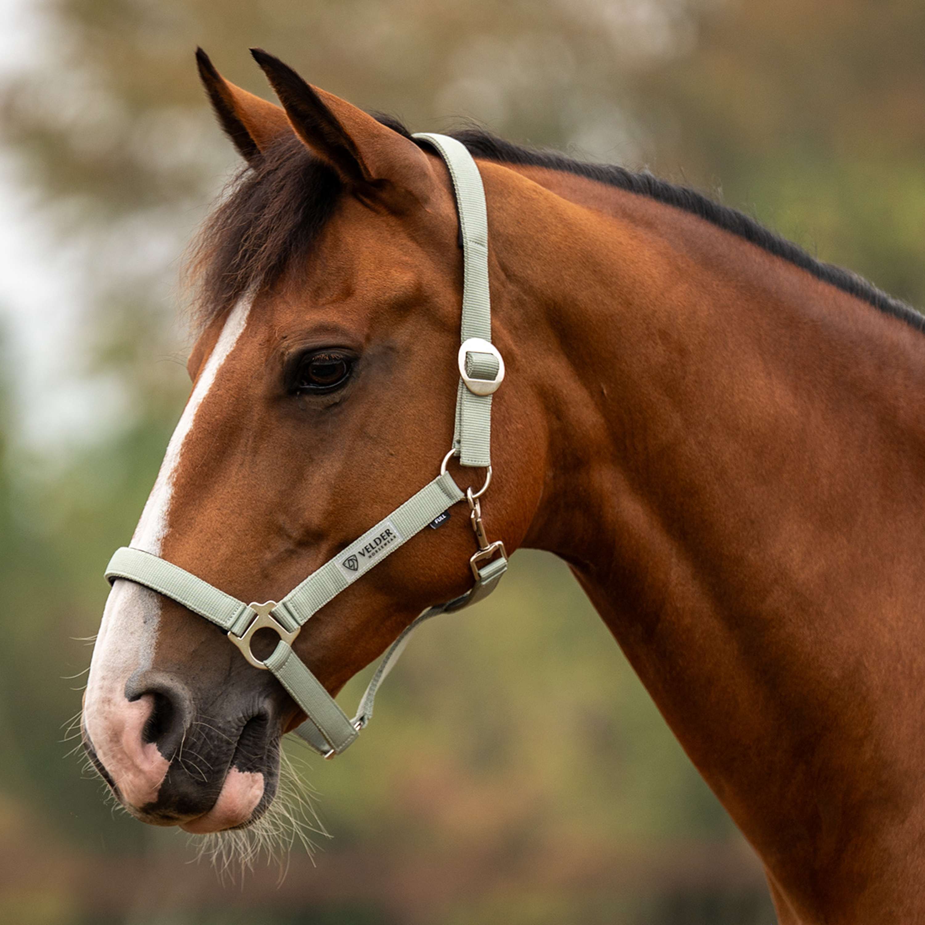 Velder Horsewear Essentials Cabezada Basic Padded Verde
