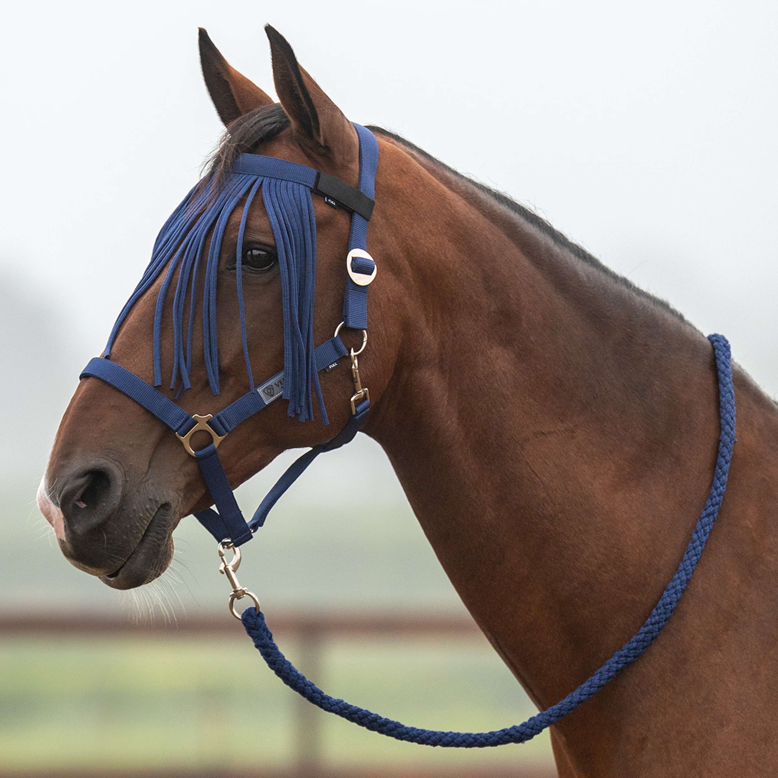 Velder Horsewear Essentials Juego de Cabestro Basic Summer Navy