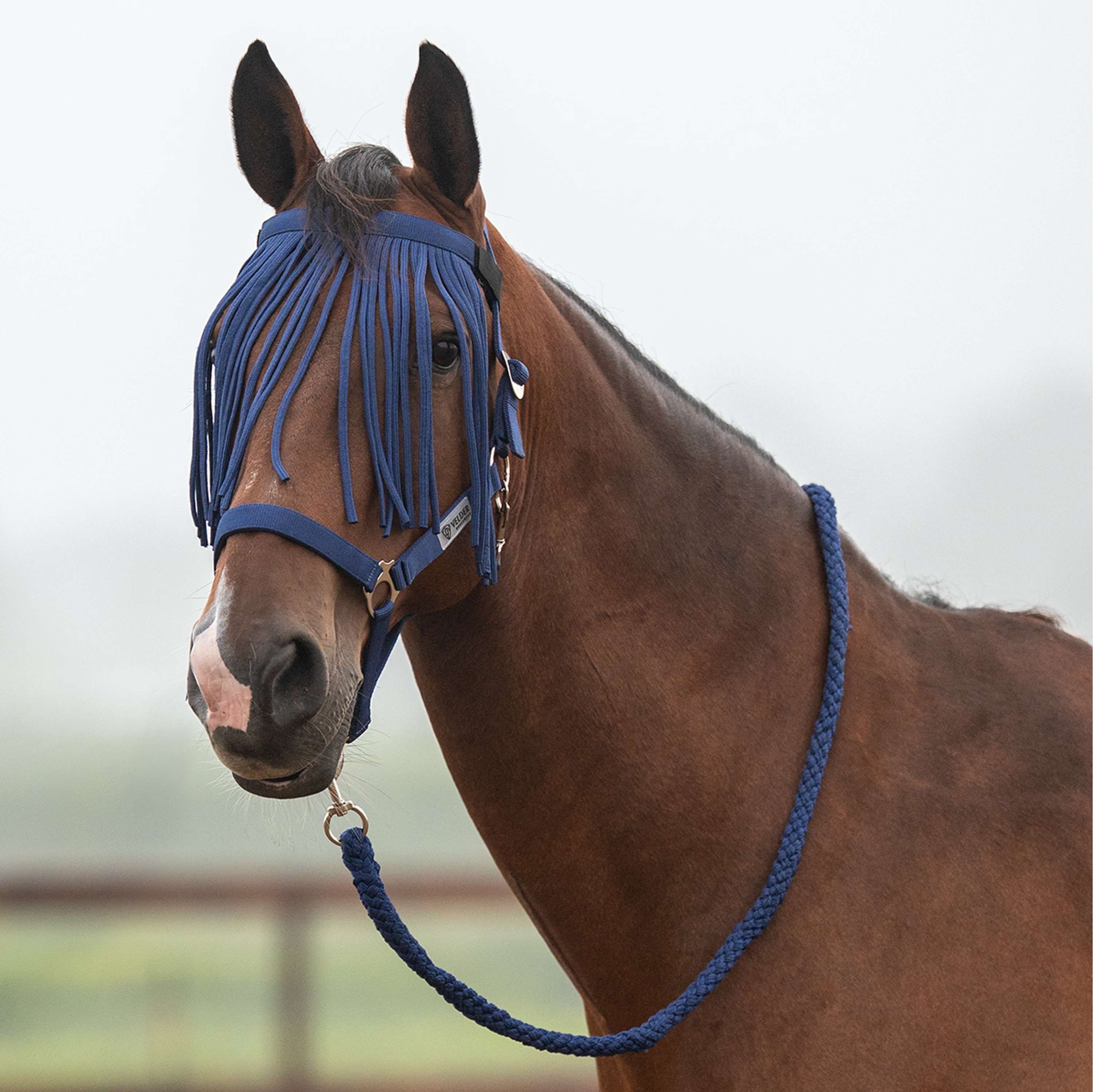 Velder Horsewear Essentials Juego de Cabestro Basic Summer Navy
