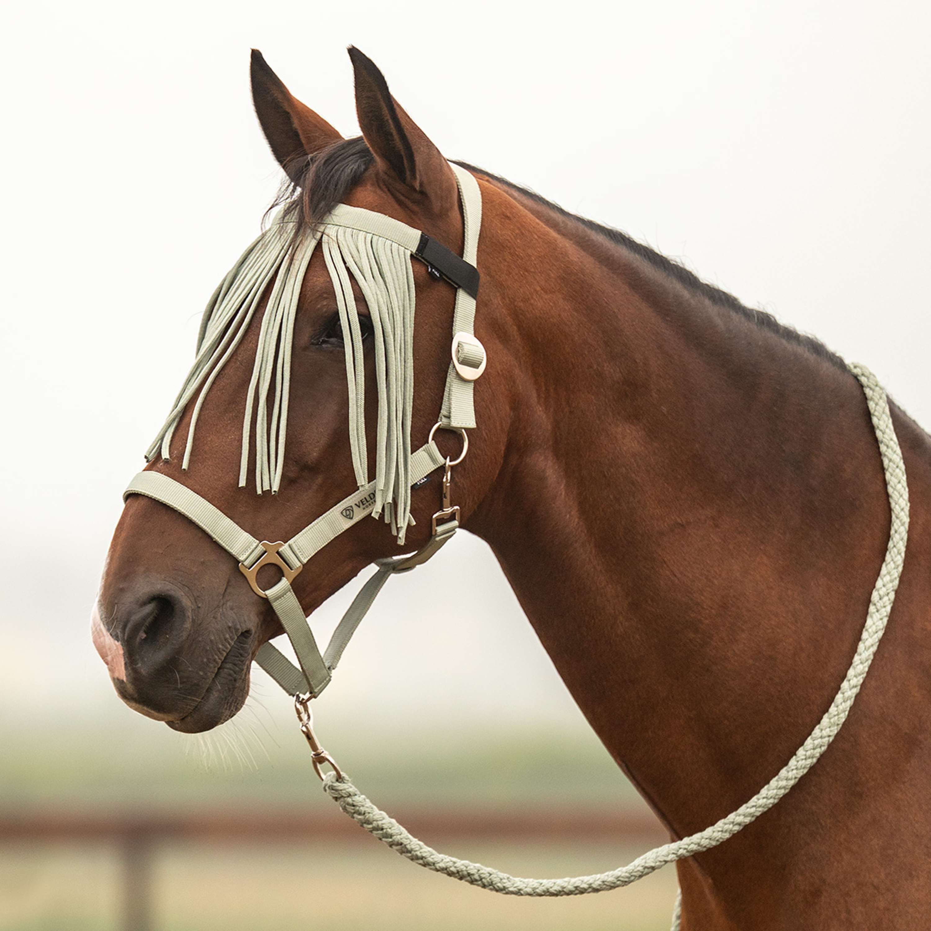 Velder Horsewear Essentials Juego de Cabestro Basic Summer Verde