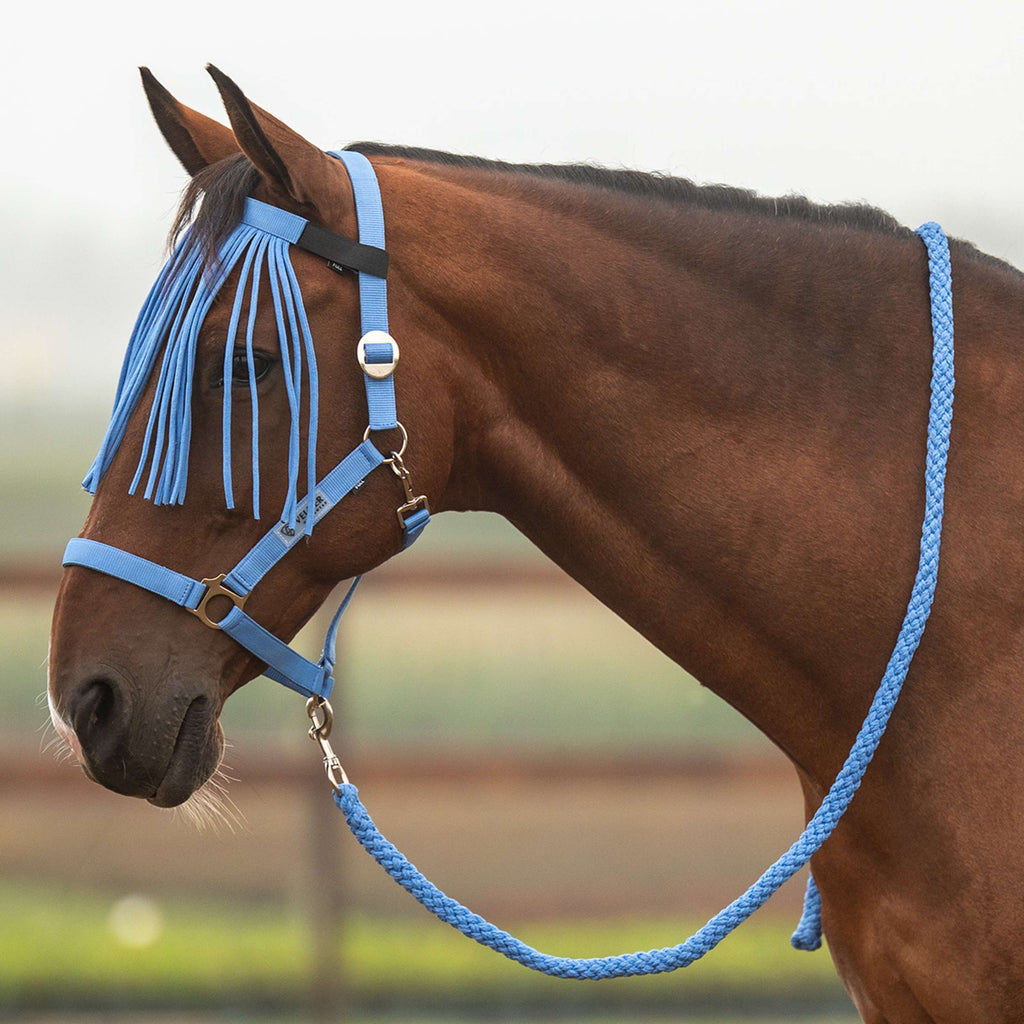 Velder Horsewear Essentials Juego de Cabestro Basic Summer Bright Cornflower
