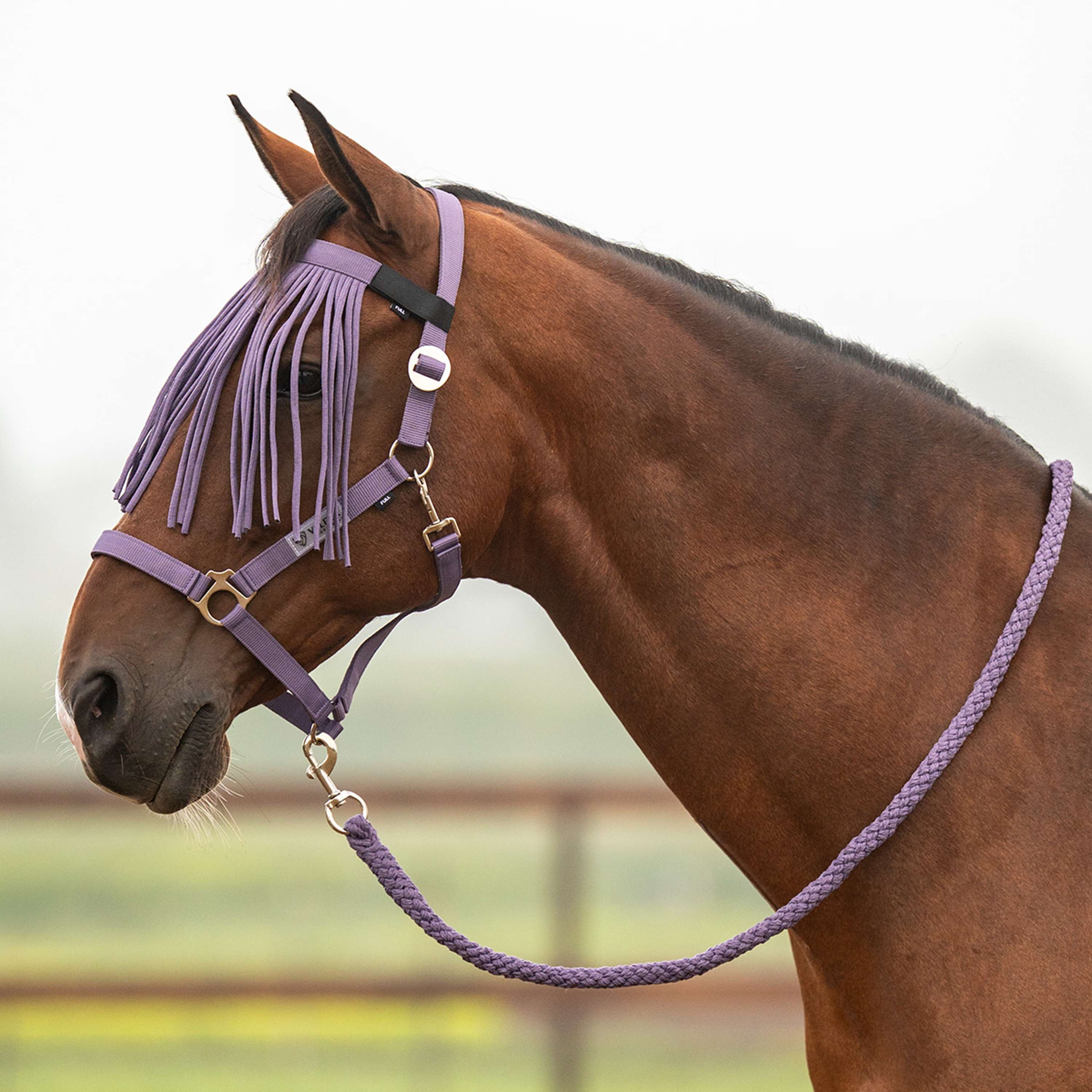Velder Horsewear Essentials Juego de Cabestro Basic Summer Purple Sage