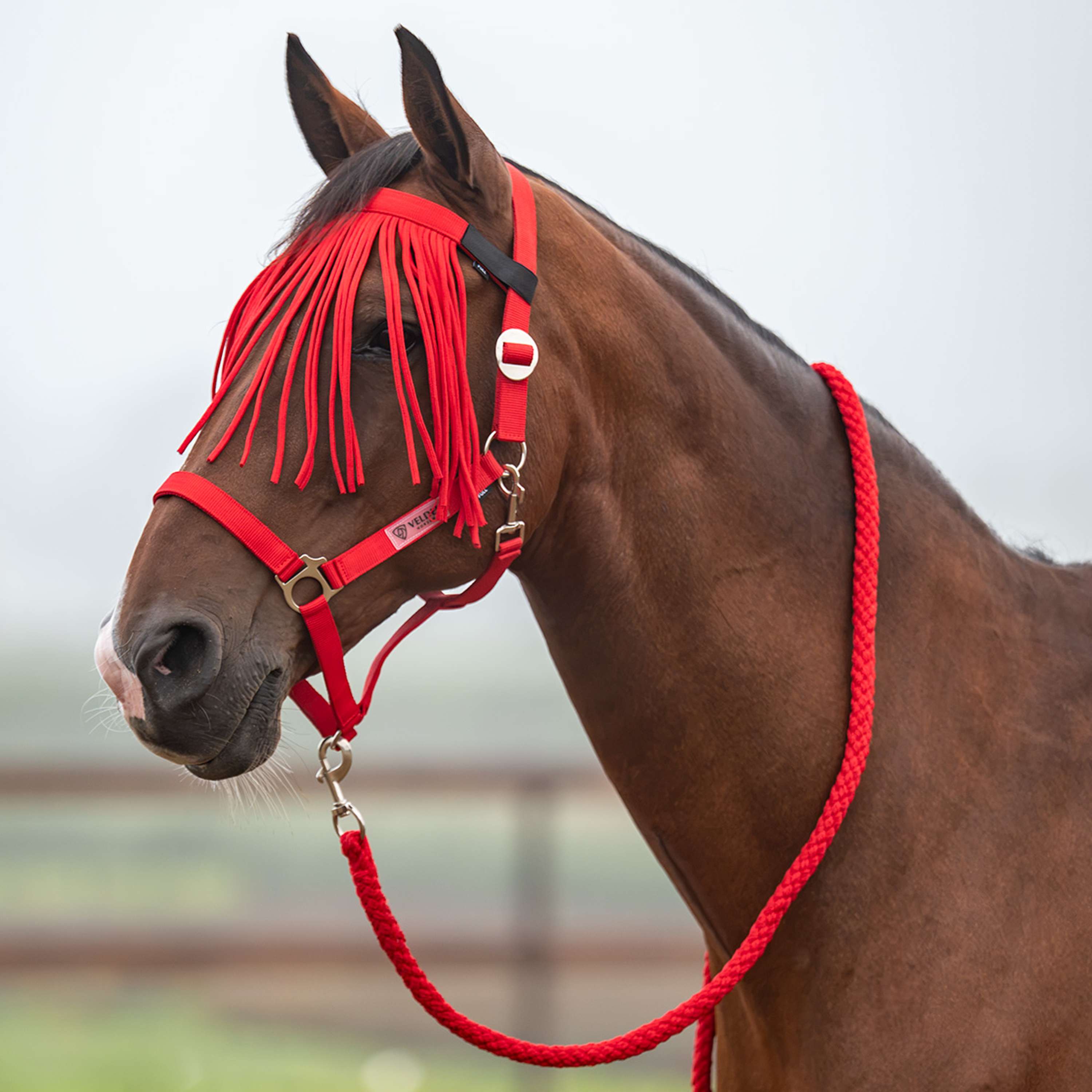 Velder Horsewear Essentials Juego de Cabestro Basic Summer High Risk Red