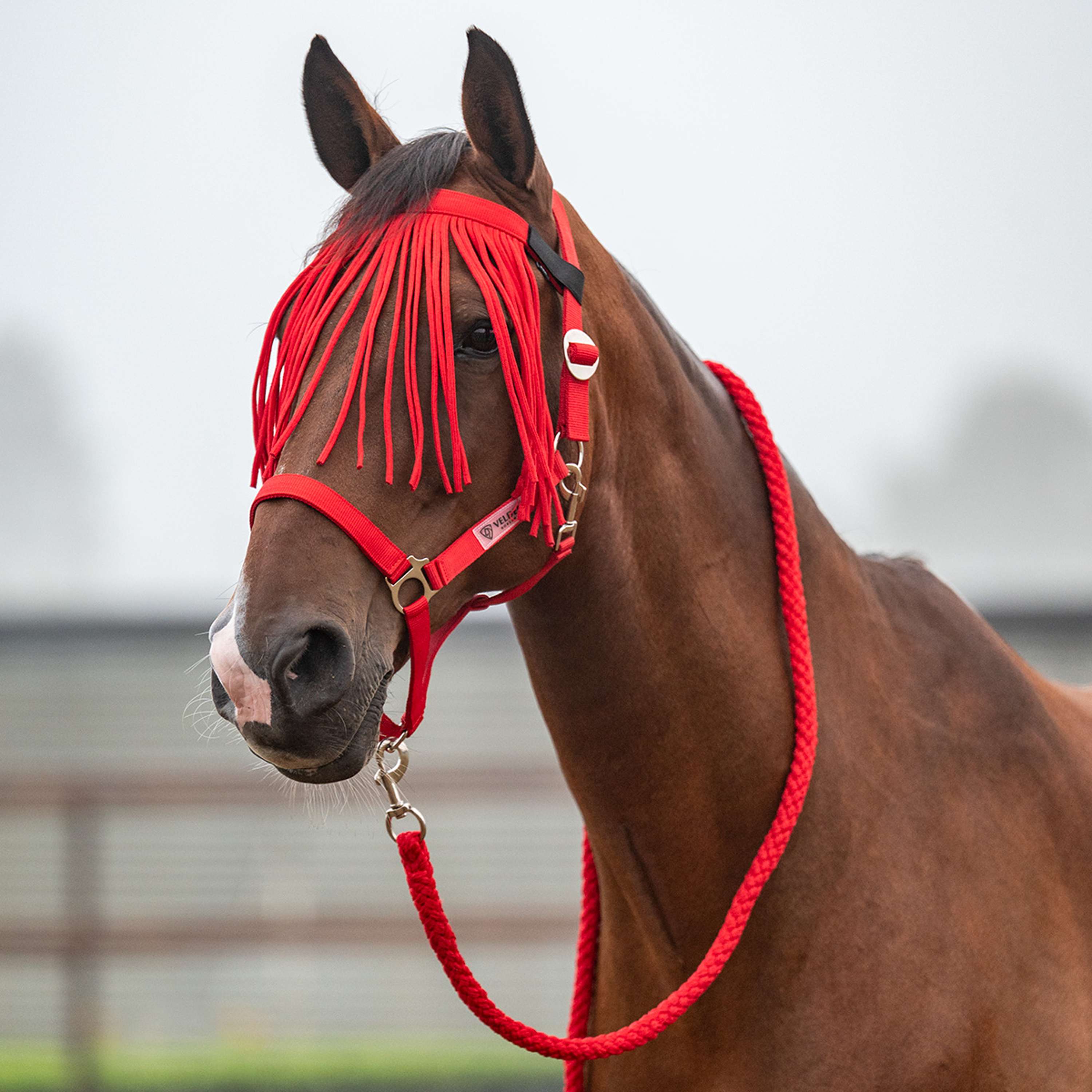 Velder Horsewear Essentials Juego de Cabestro Basic Summer High Risk Red