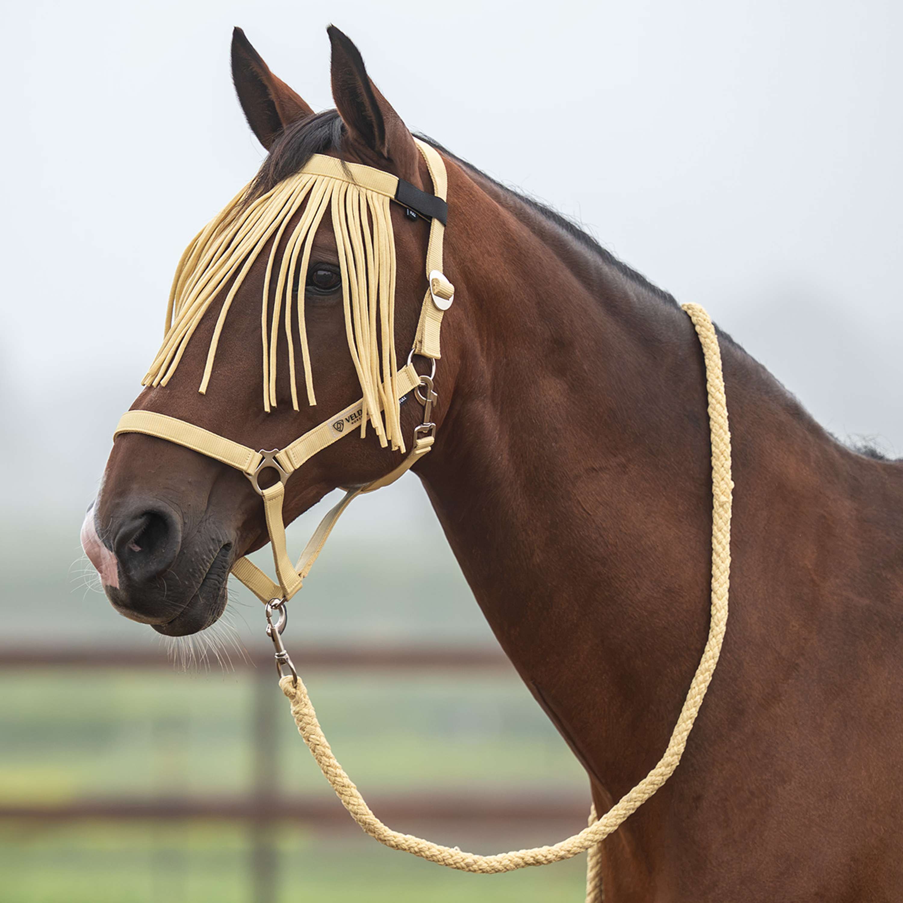 Velder Horsewear Essentials Juego de Cabestro Basic Summer Healing Yellow