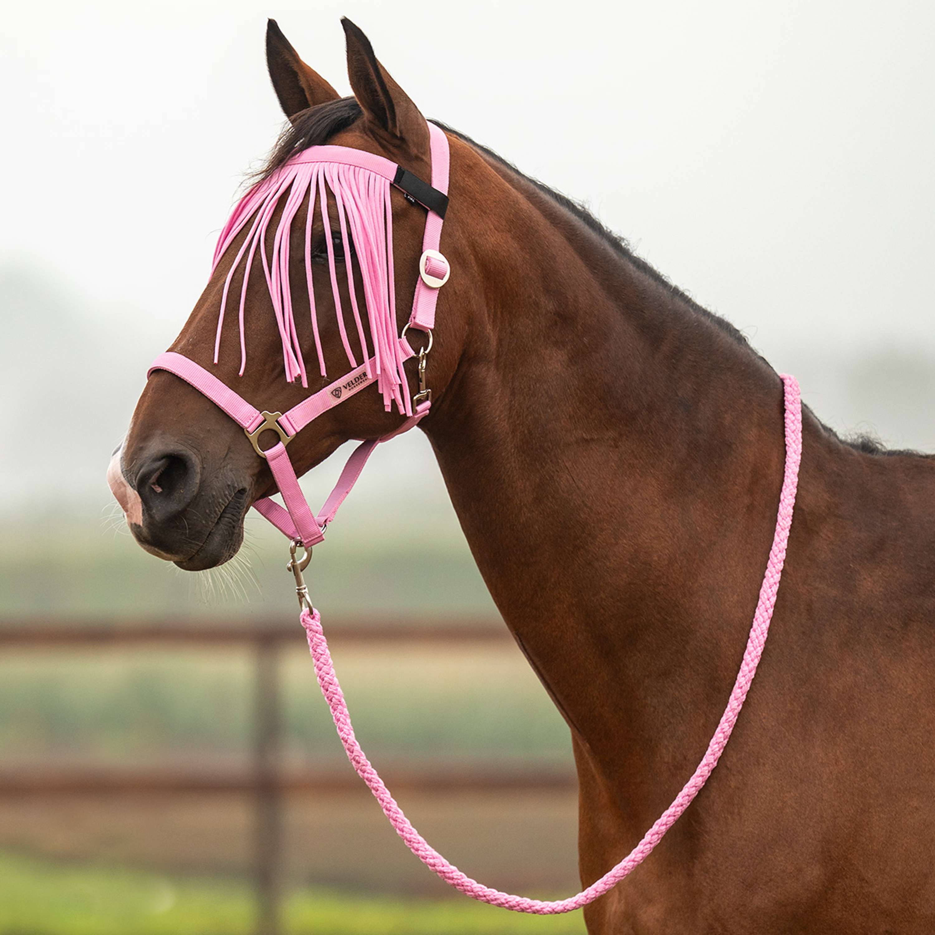 Velder Horsewear Essentials Juego de Cabestro Basic Summer Pop Pink
