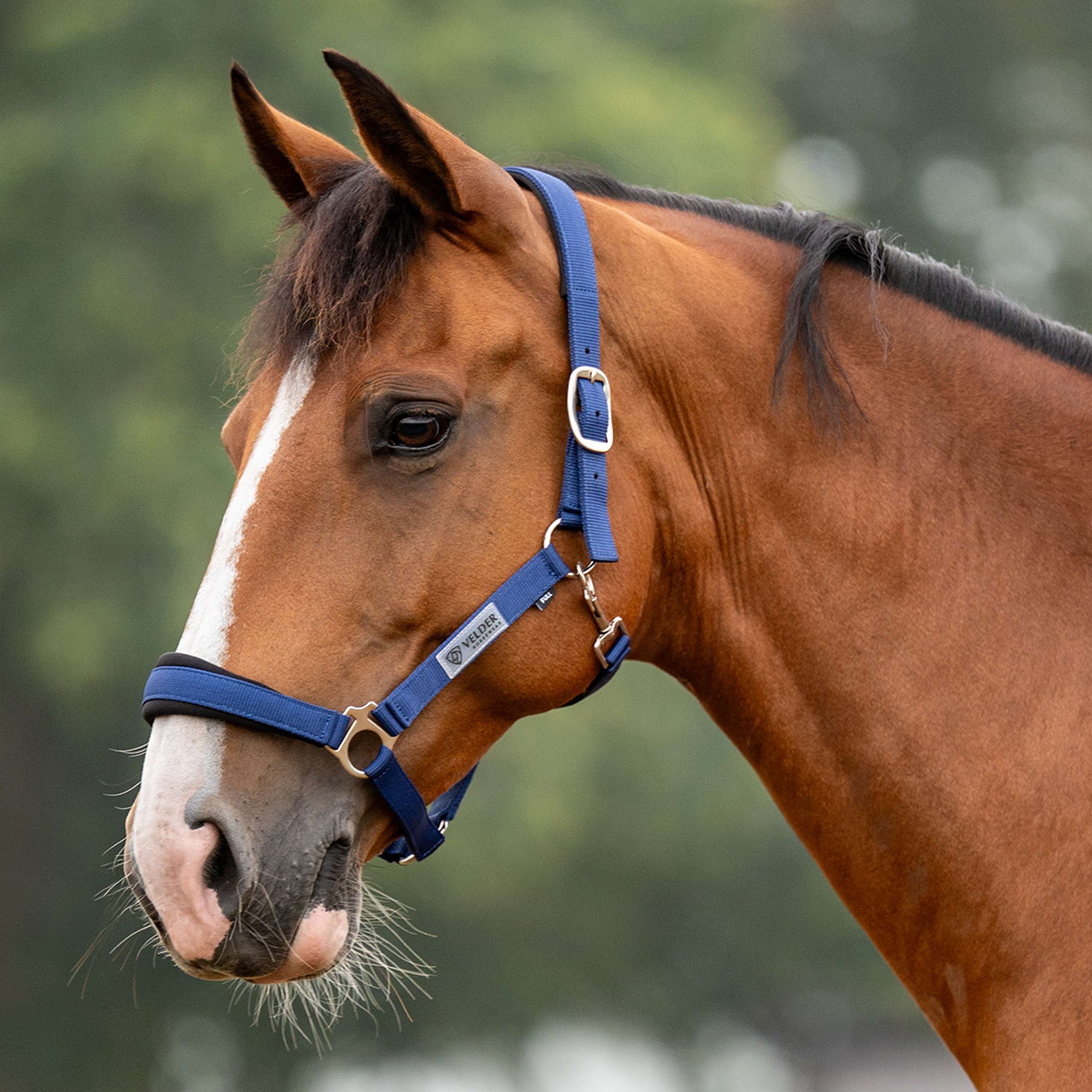Velder Horsewear Essentials Cabezada Basic Comfort Navy