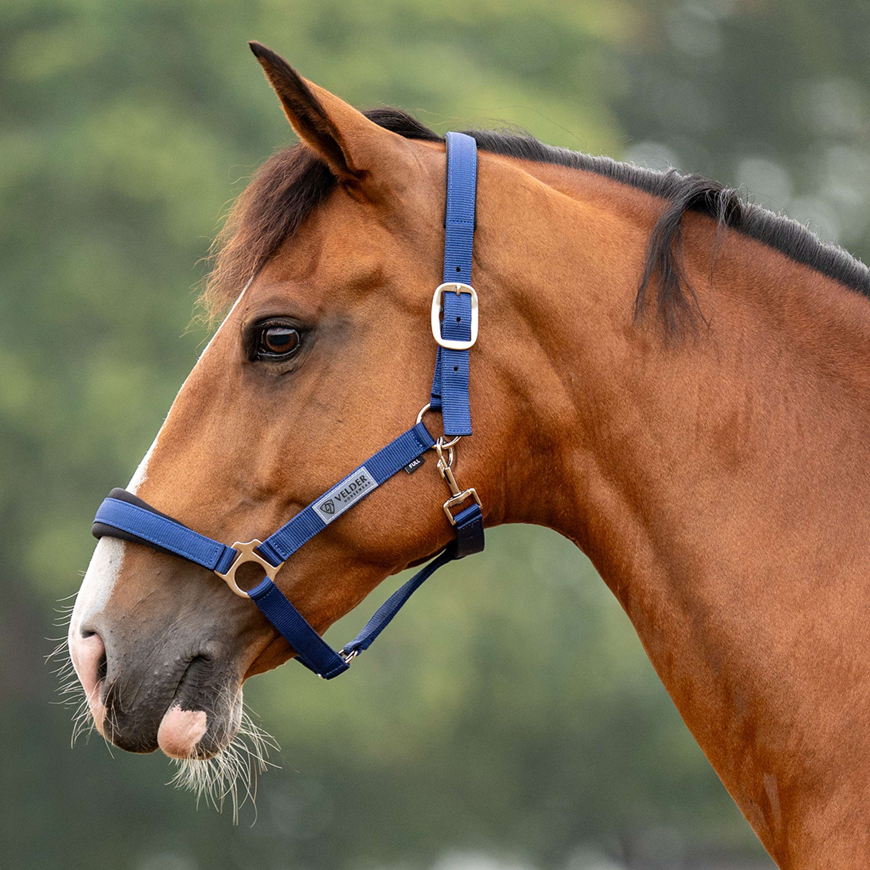 Velder Horsewear Essentials Cabezada Basic Comfort Navy