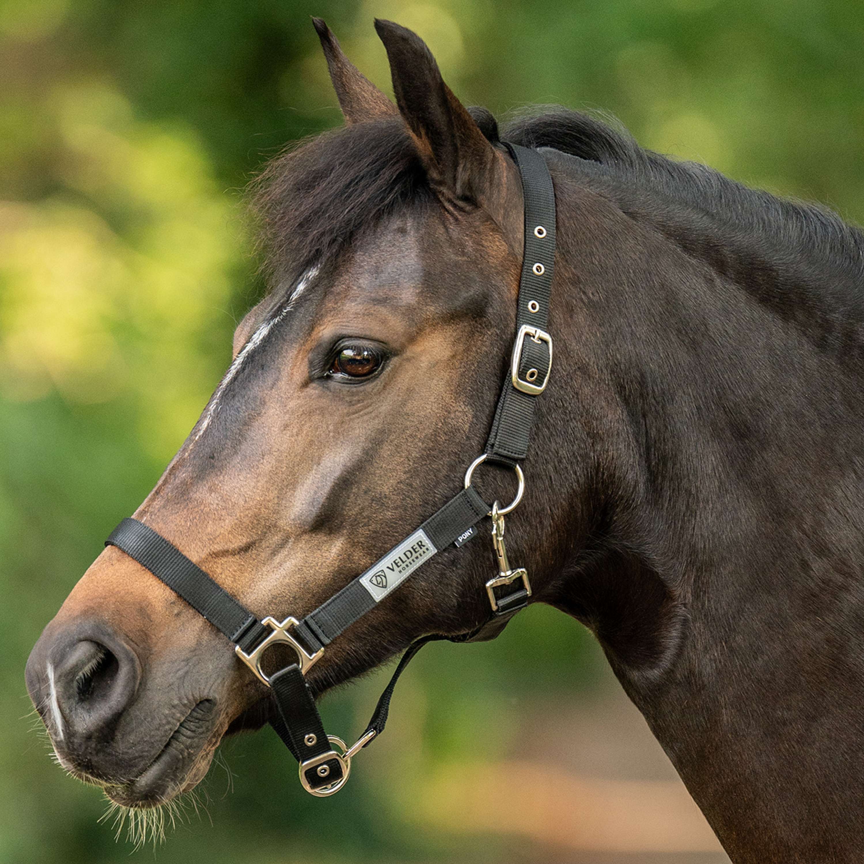 Velder Horsewear Essentials Cabezada Triple Adjustable Negro