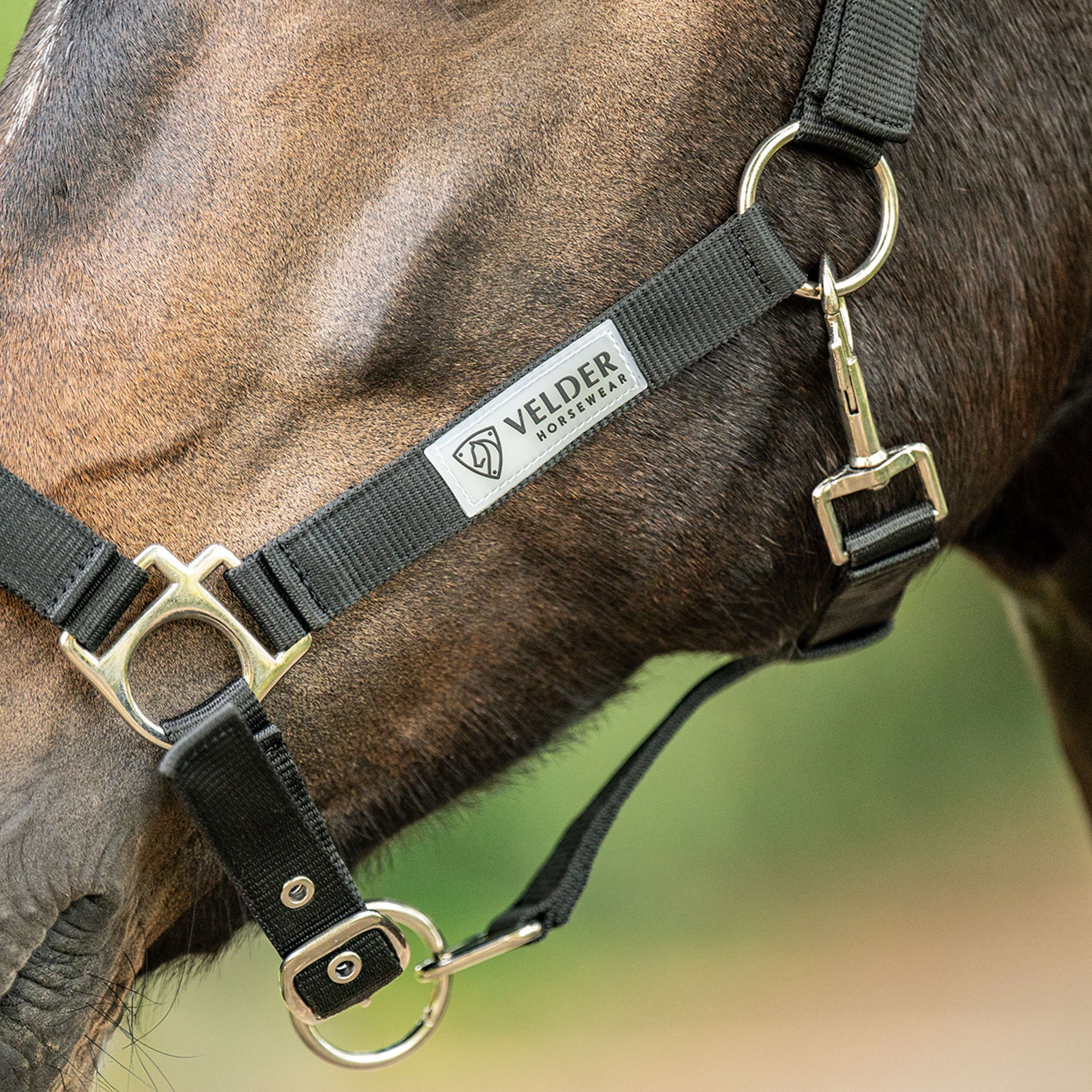 Velder Horsewear Essentials Cabezada Triple Adjustable Negro