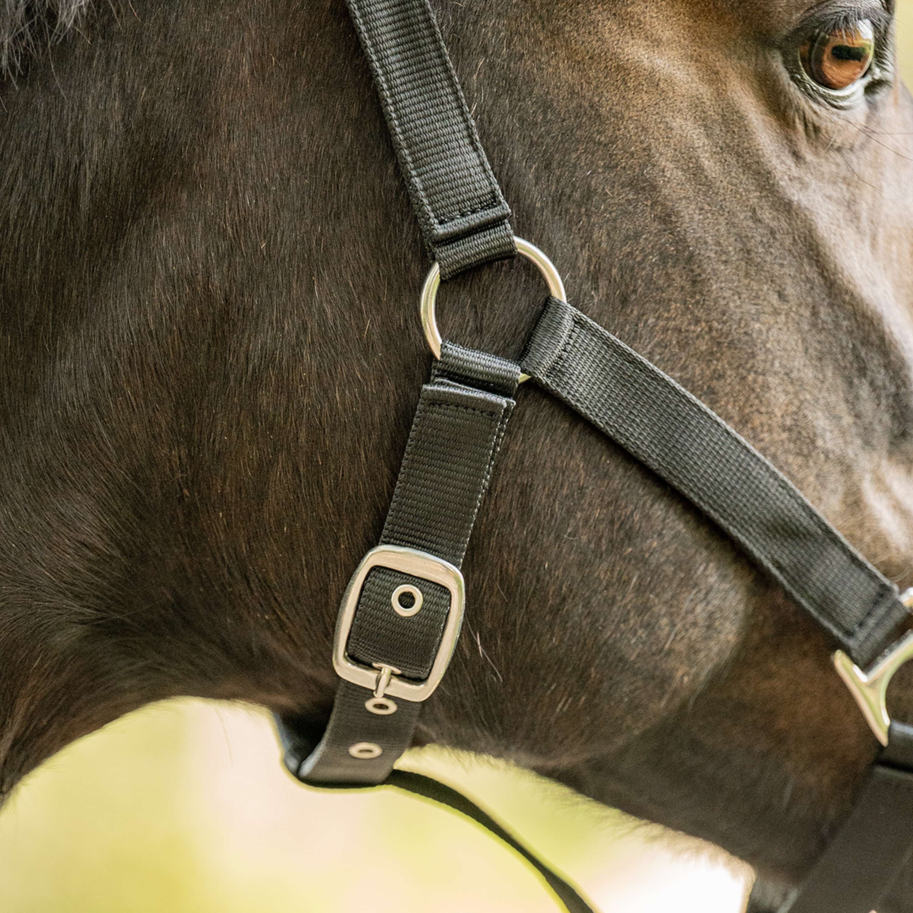 Velder Horsewear Essentials Cabezada Triple Adjustable Negro