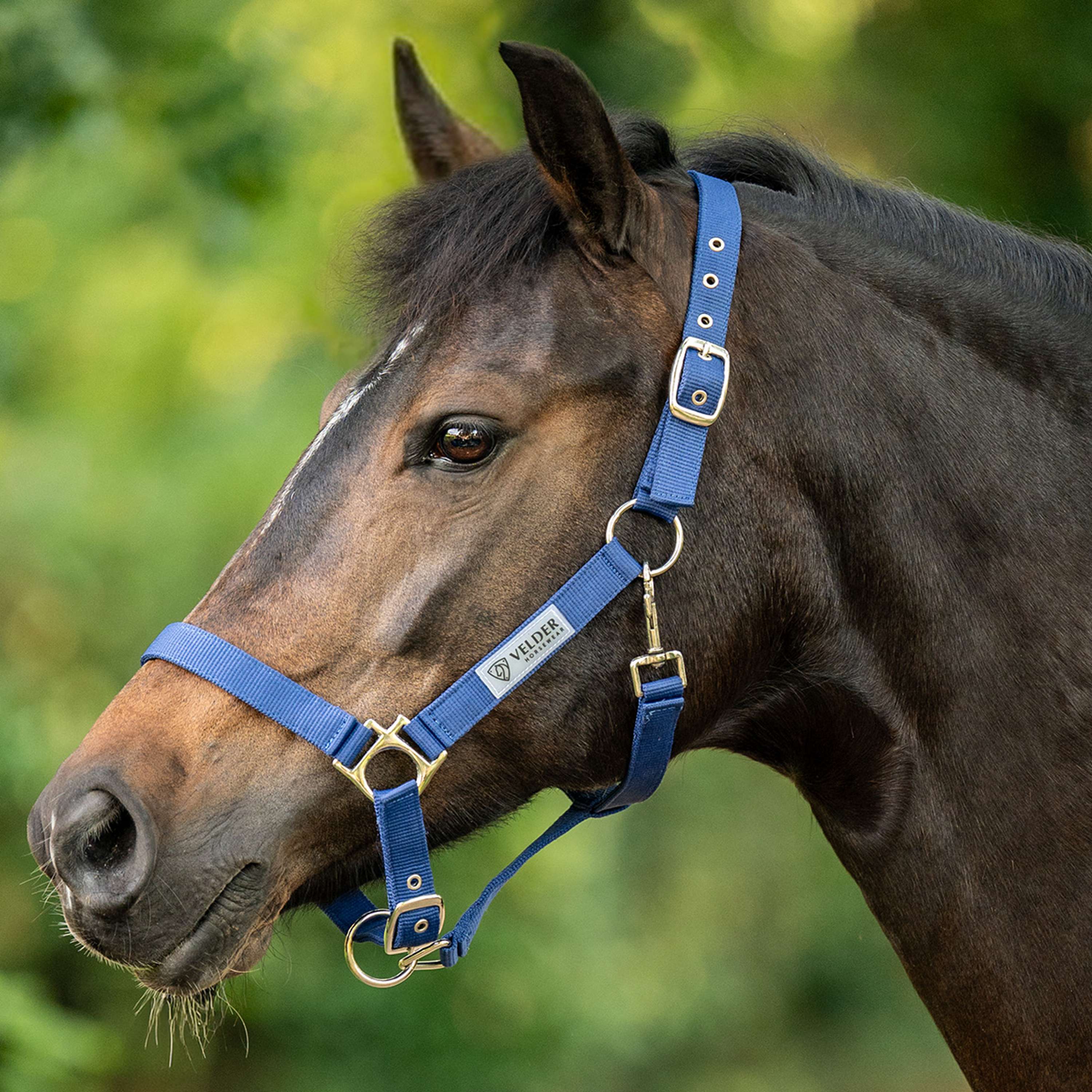 Velder Horsewear Essentials Cabezada Triple Adjustable Navy
