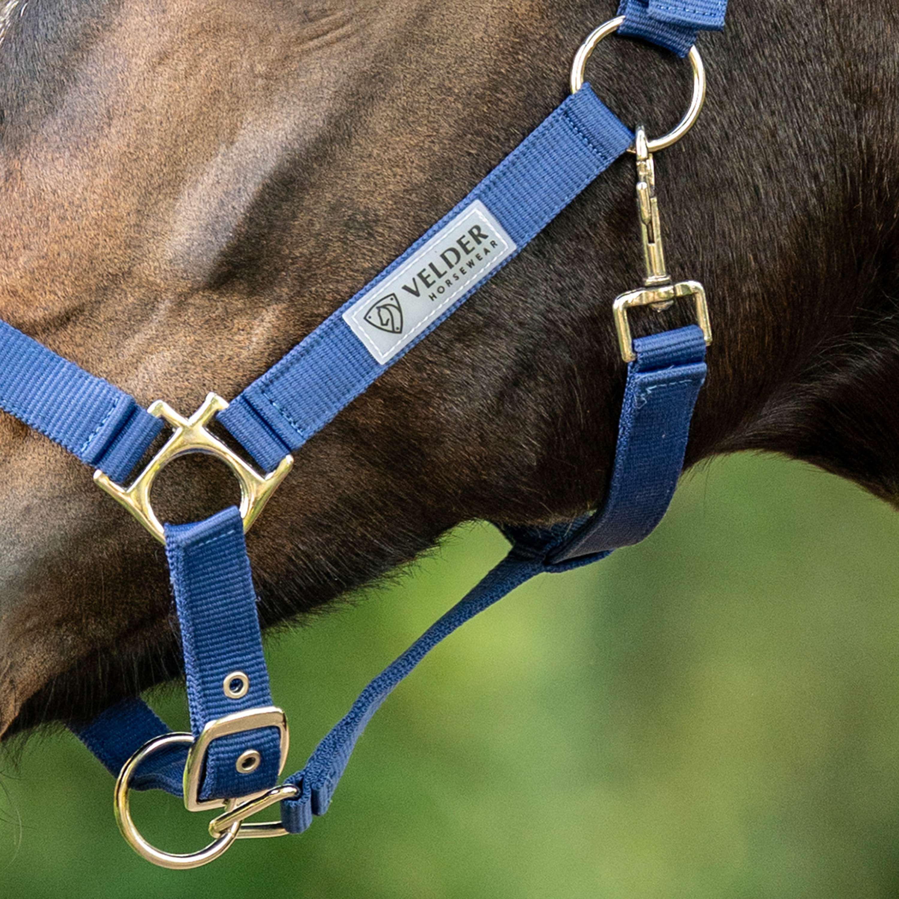 Velder Horsewear Essentials Cabezada Triple Adjustable Navy