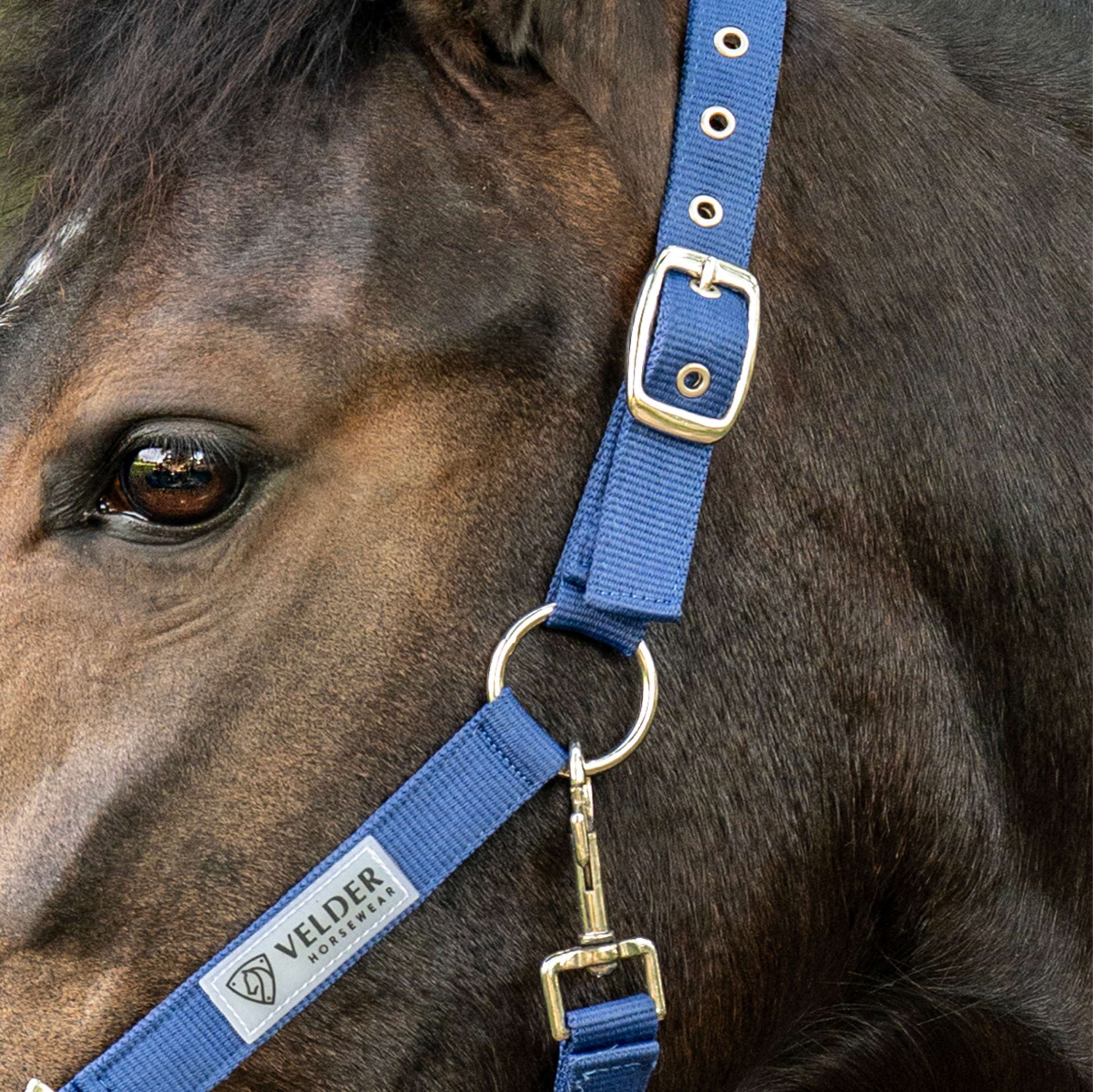 Velder Horsewear Essentials Cabezada Triple Adjustable Navy
