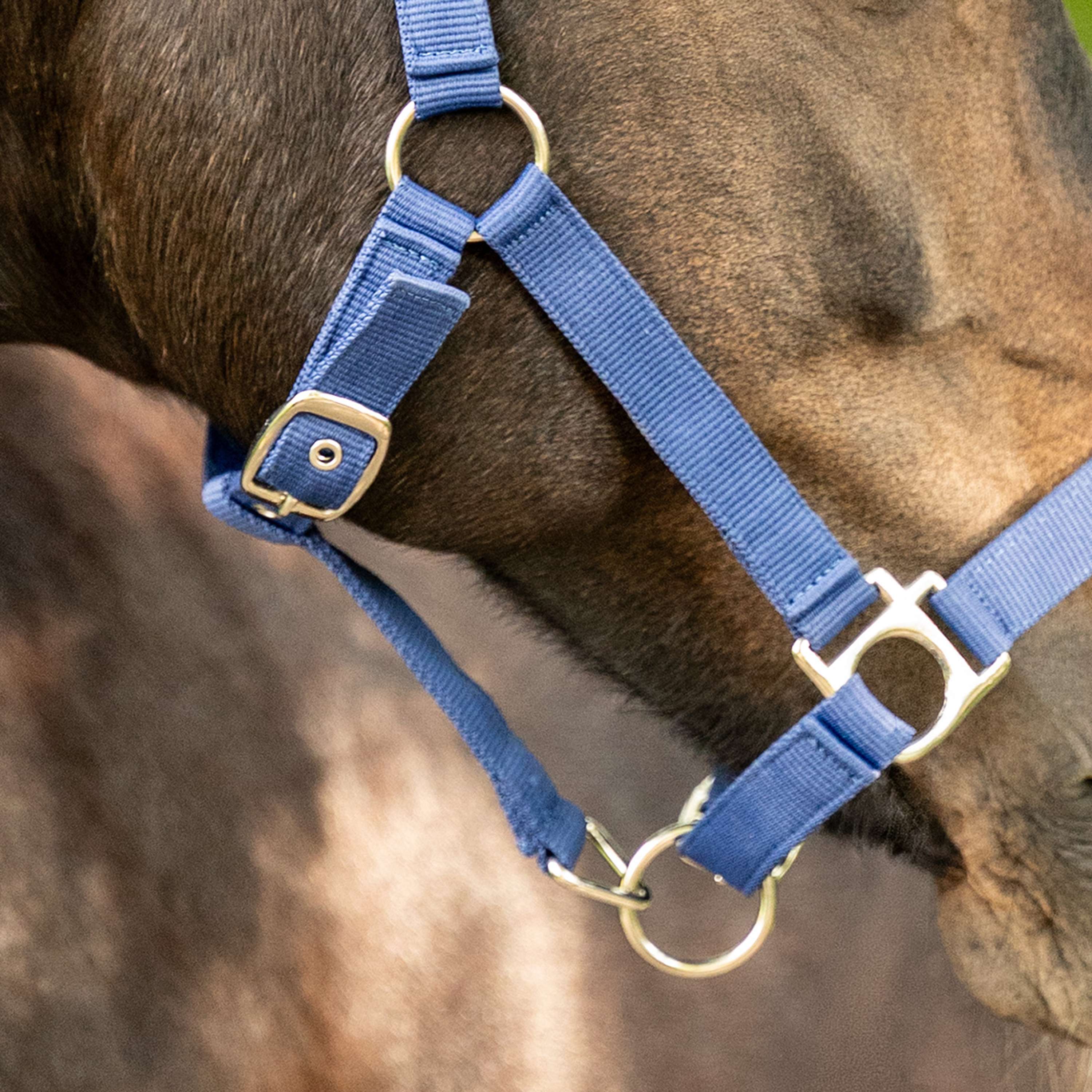 Velder Horsewear Essentials Cabezada Triple Adjustable Navy