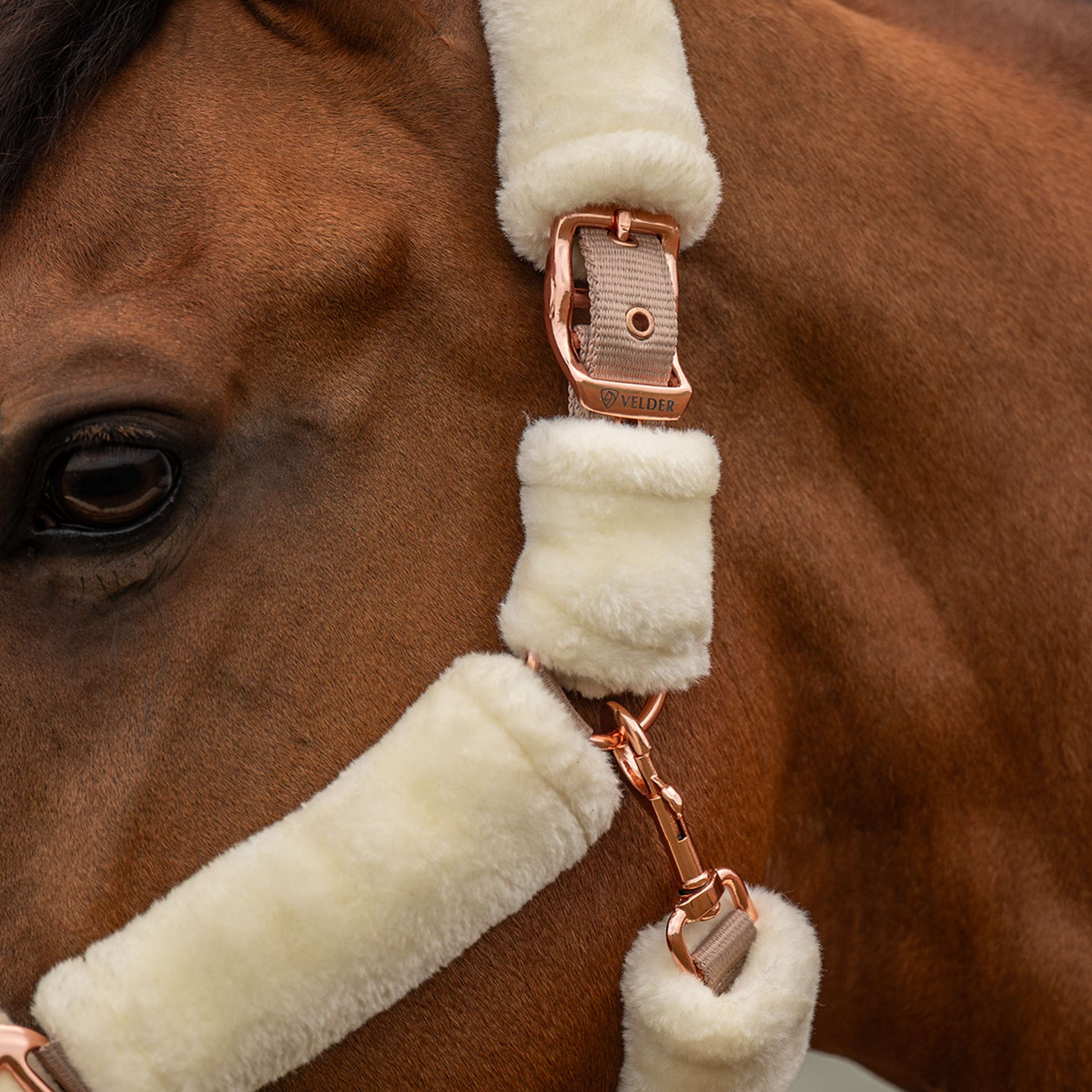 Velder Horsewear Premium Cabezada Comfort Fur Natural/Rosé