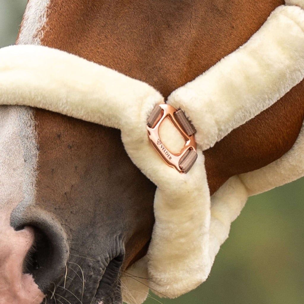 Velder Horsewear Premium Cabezada Comfort Fur Natural/Rosé