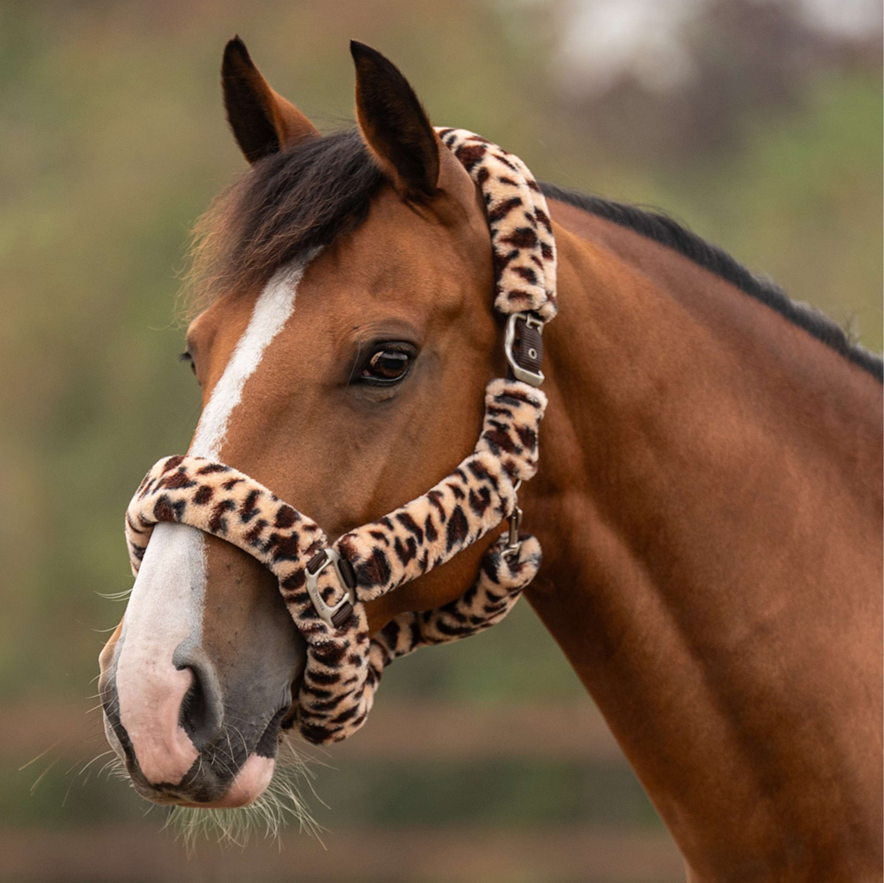 Velder Horsewear Premium Cabezada Comfort Fur Snow Leopard Marron