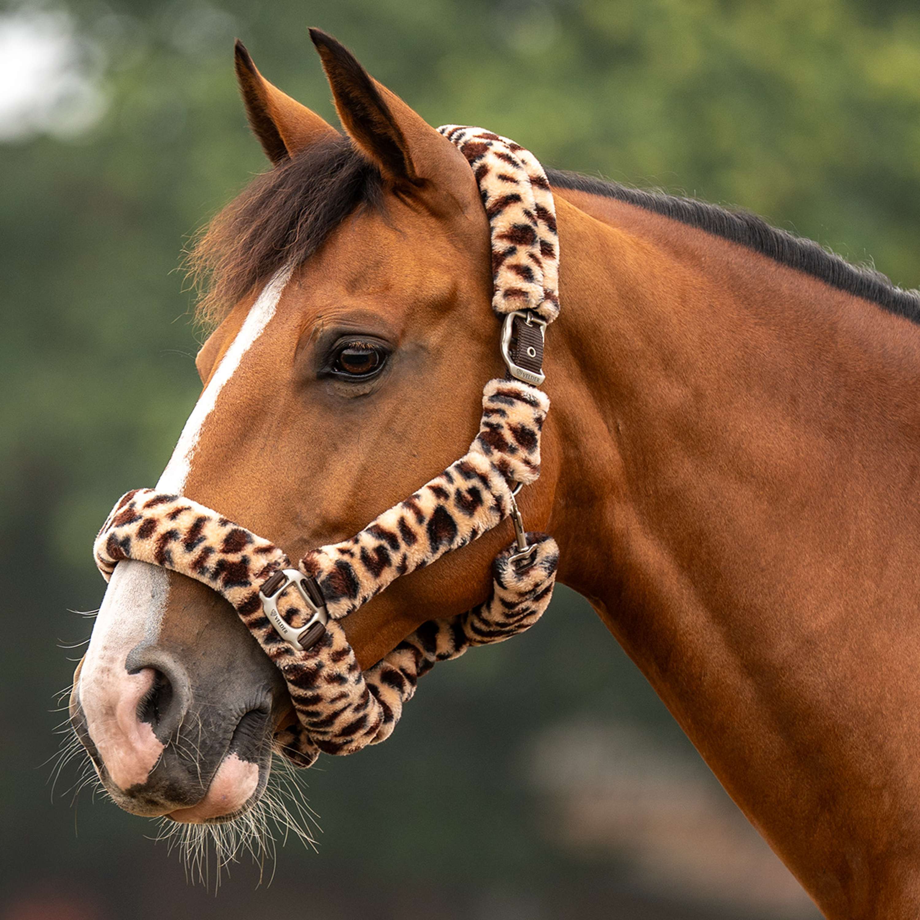 Velder Horsewear Premium Cabezada Comfort Fur Snow Leopard Marron