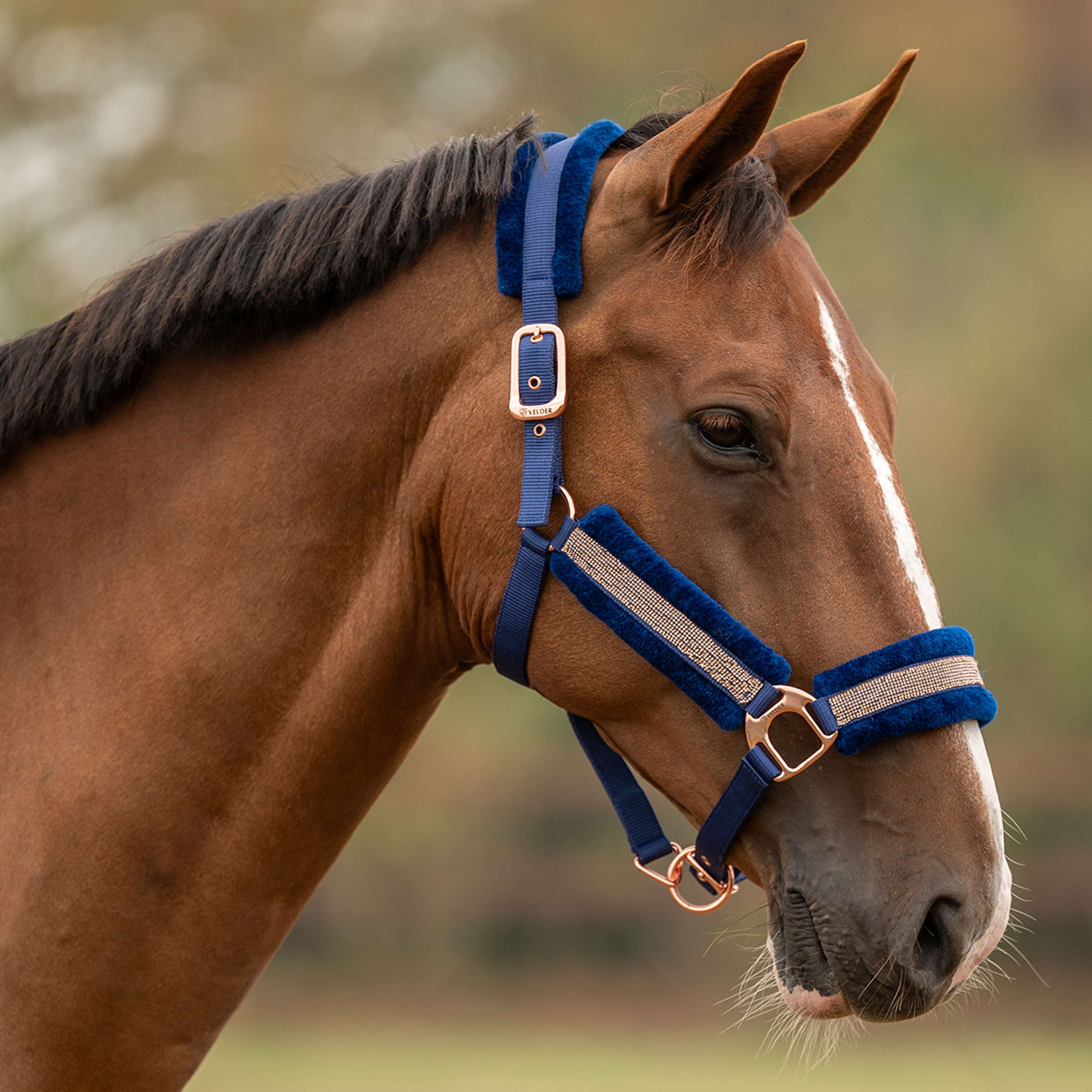 Velder Horsewear Essentials Cabezada Soft Sparkle Navy