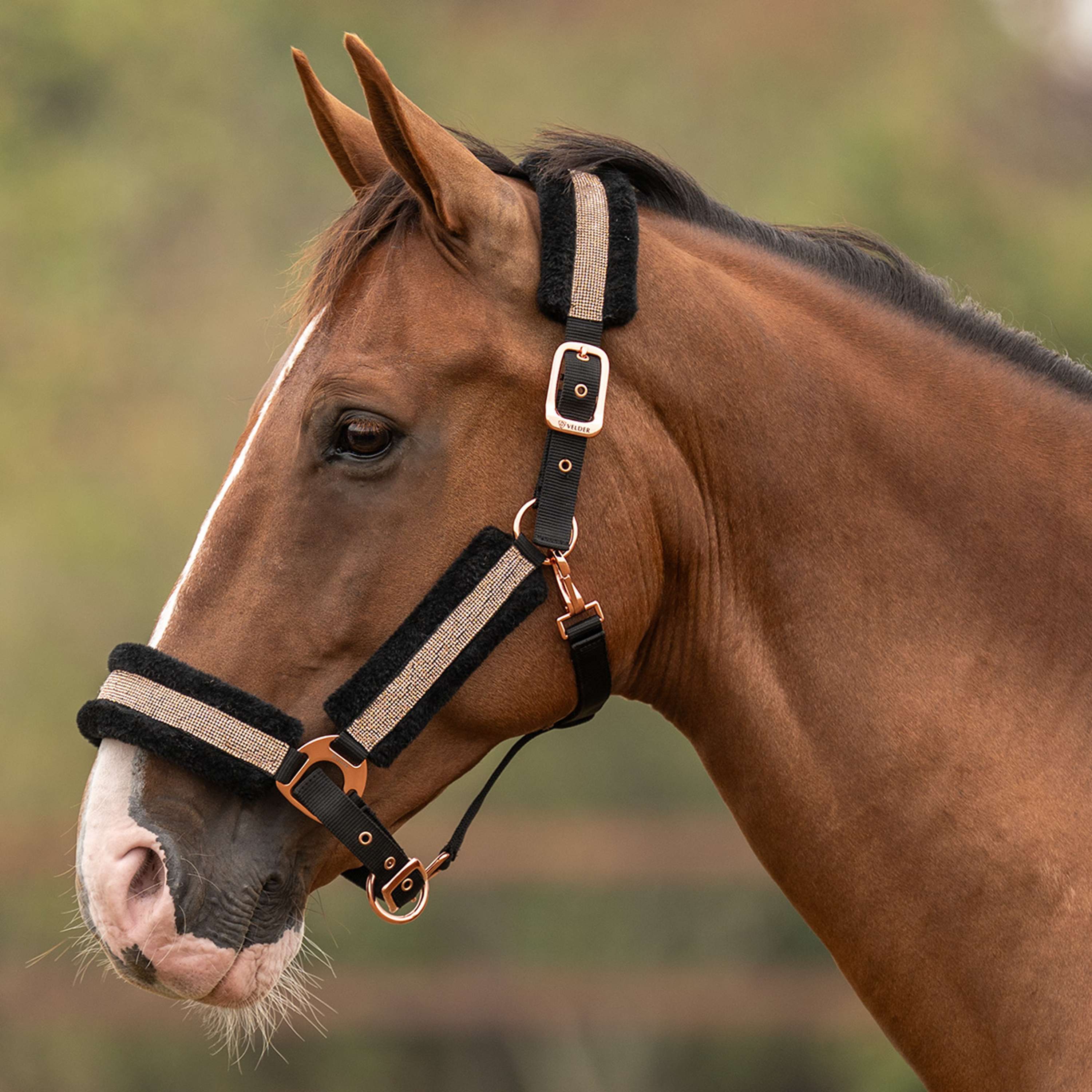 Velder Horsewear Essentials Cabezada Soft Sparkle Negro