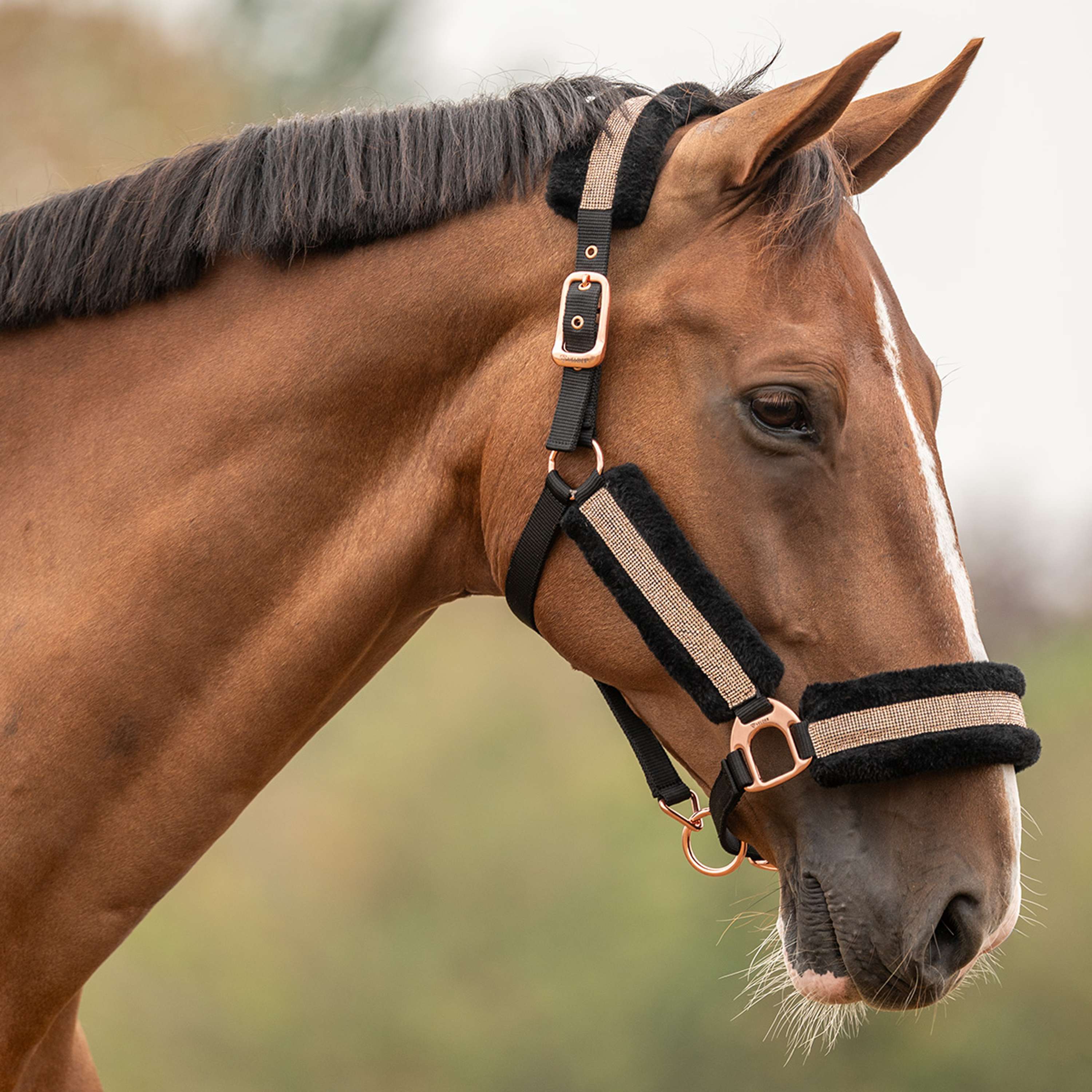 Velder Horsewear Essentials Cabezada Soft Sparkle Negro